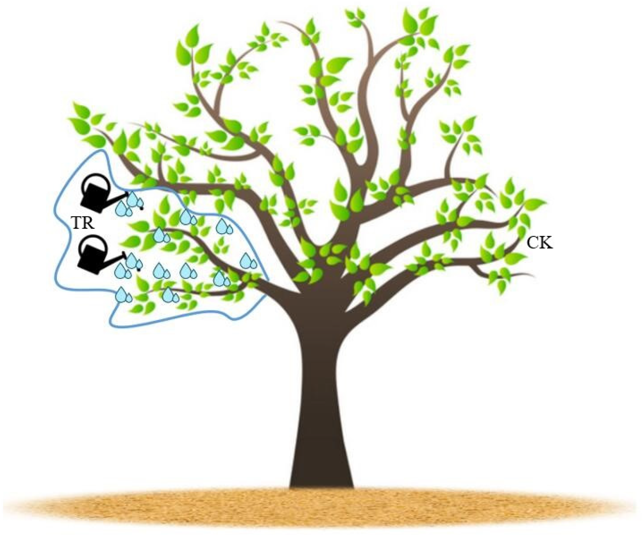 Forests 15 00430 g001 Forests 15 00430 g001