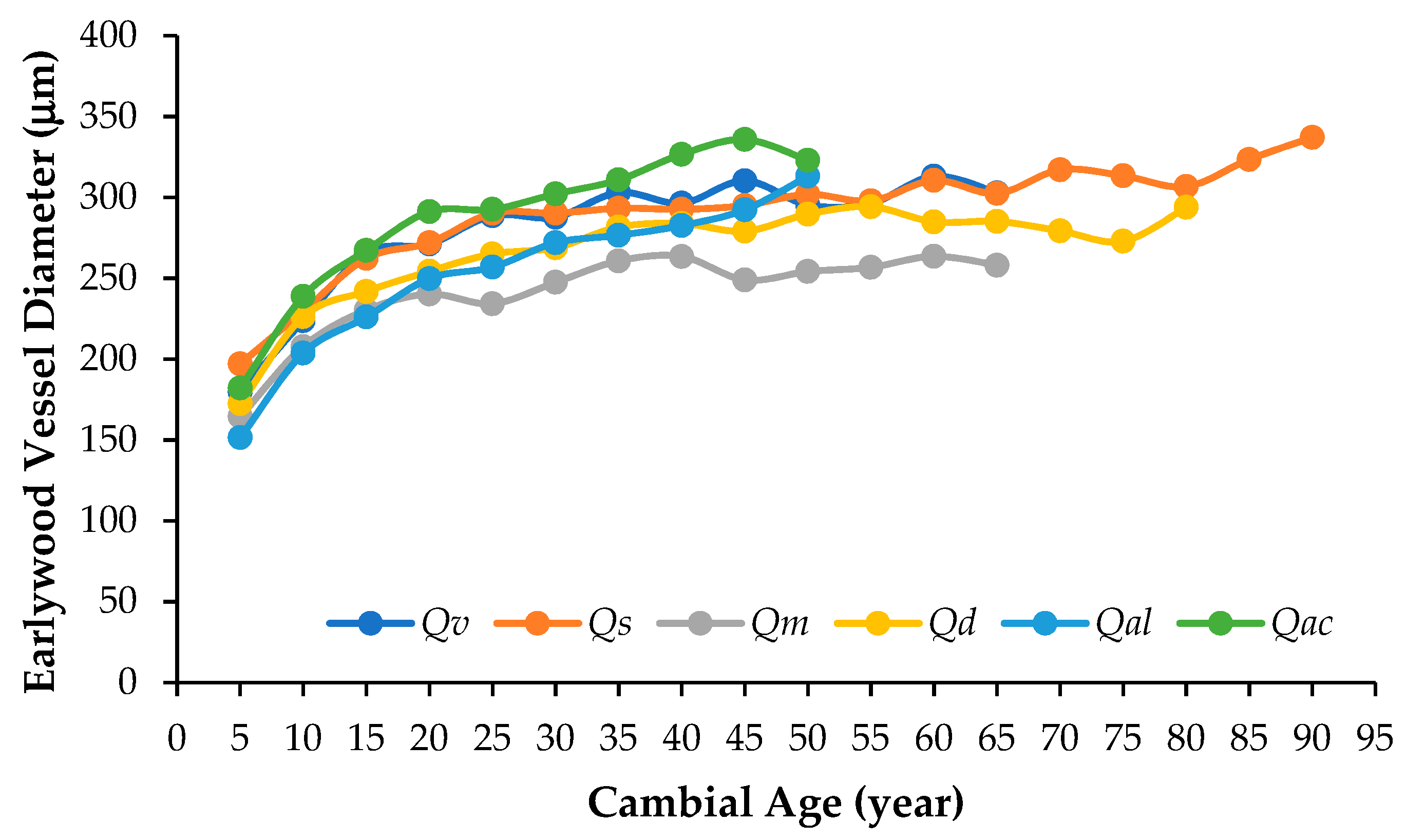 Forests 15 00433 g001