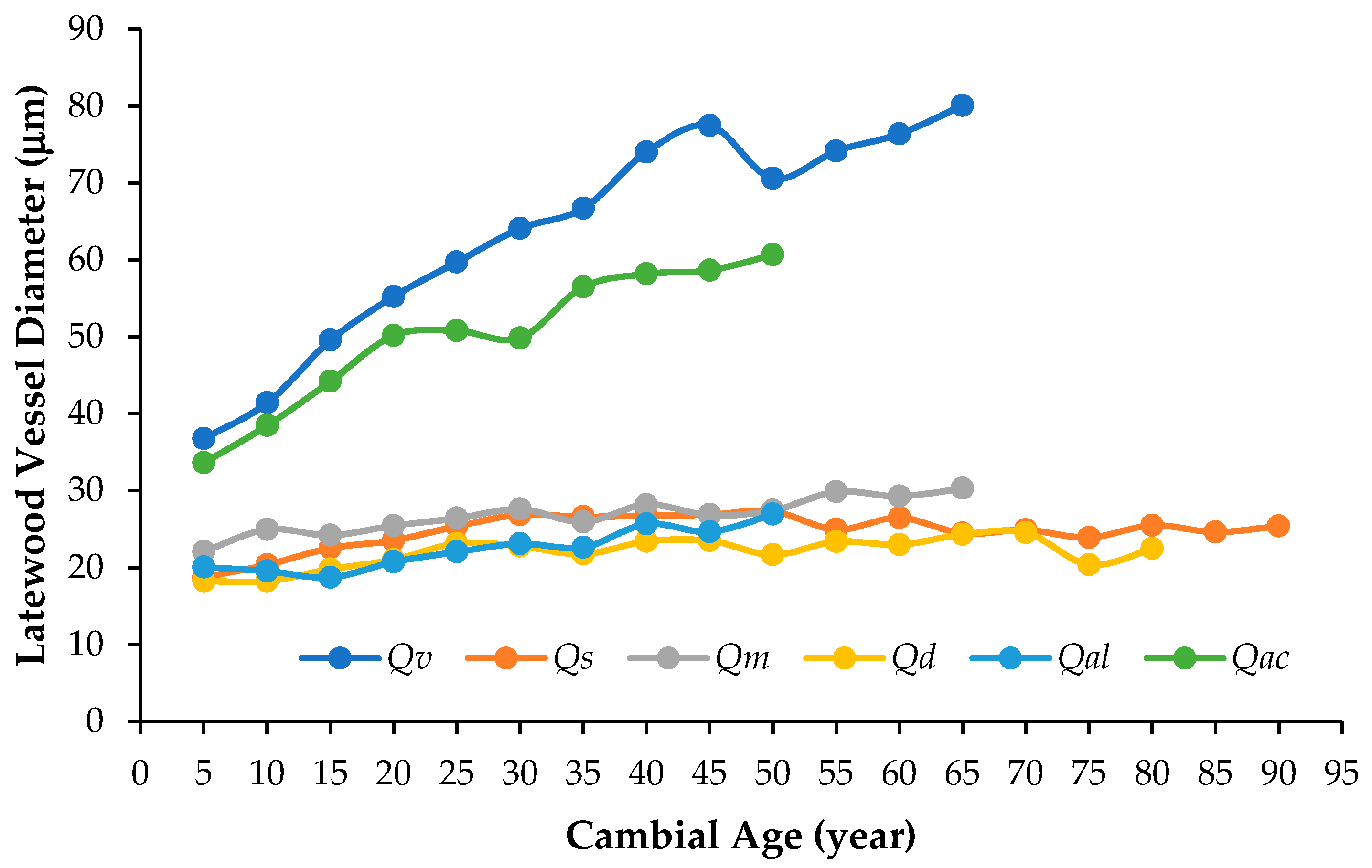 Forests 15 00433 g002