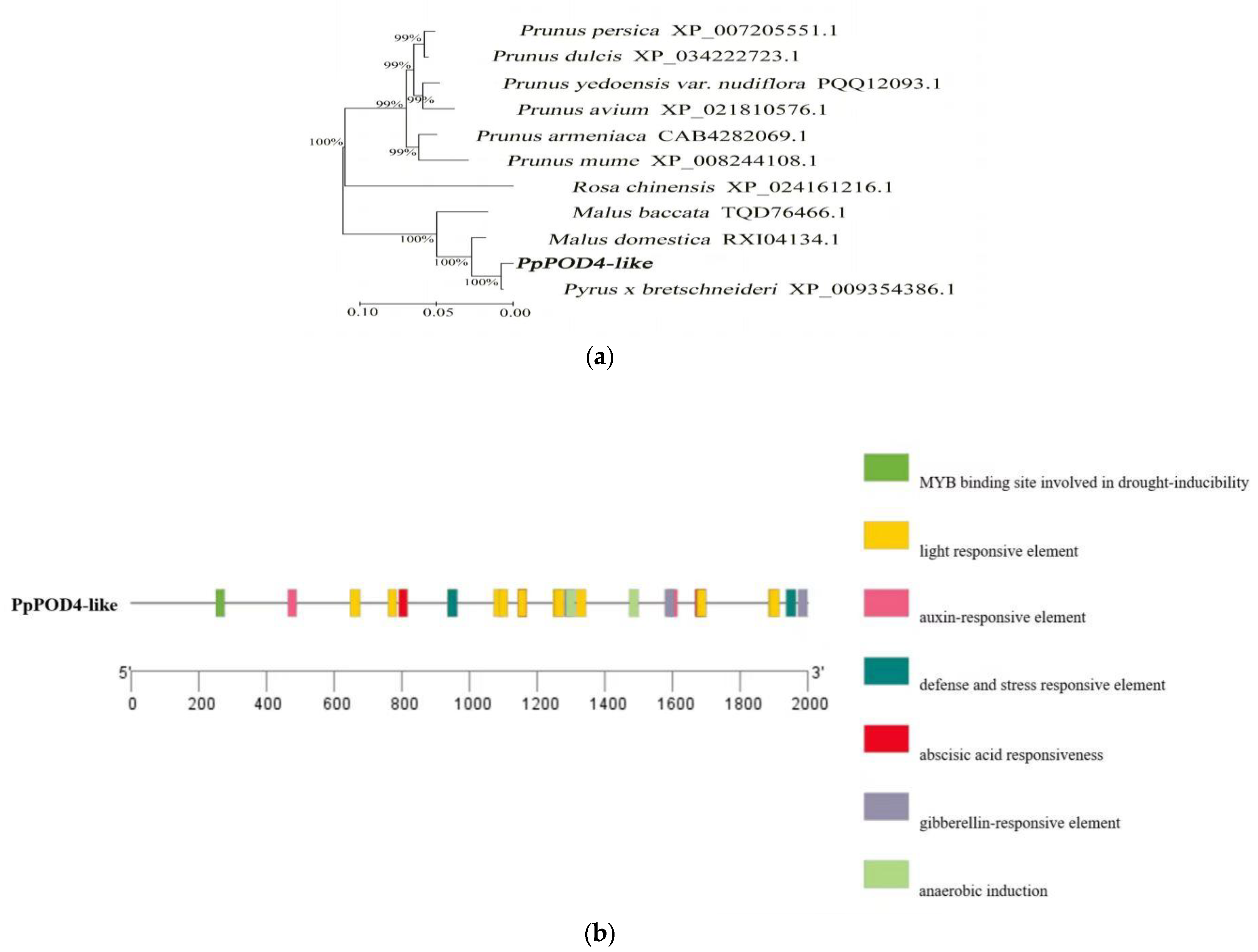 Forests 15 00434 g006