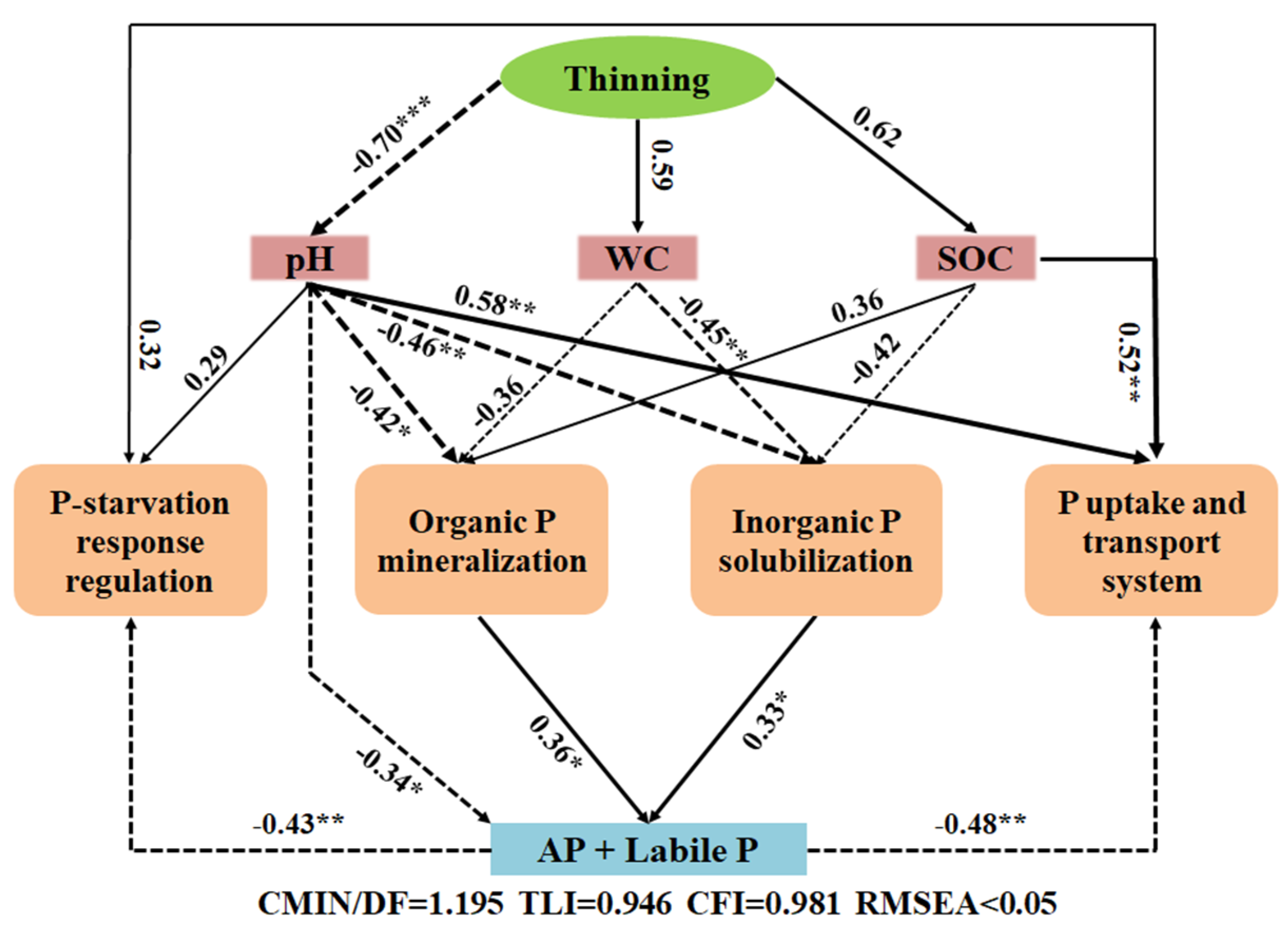 Forests 15 00440 g005