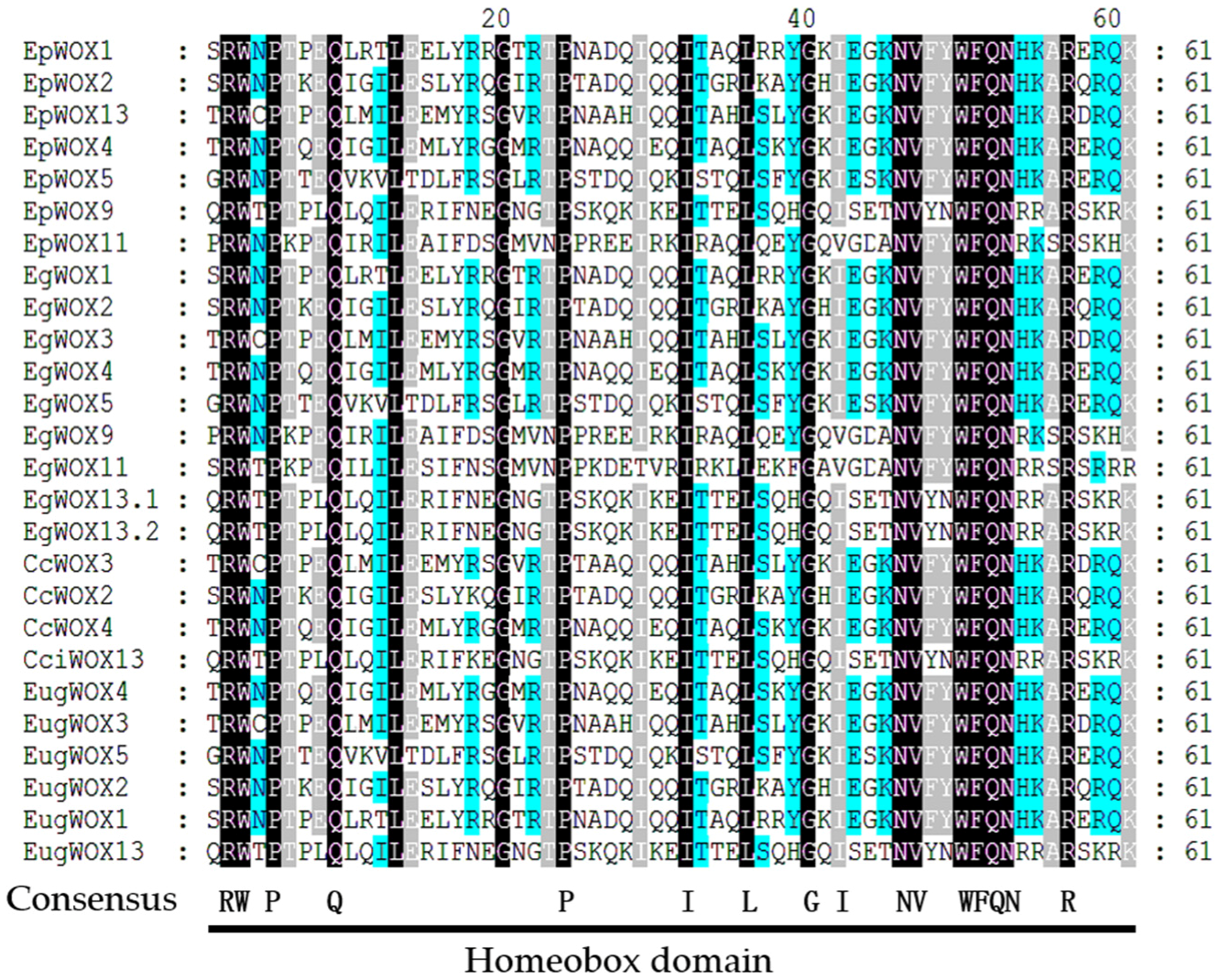 Forests 15 00442 g001