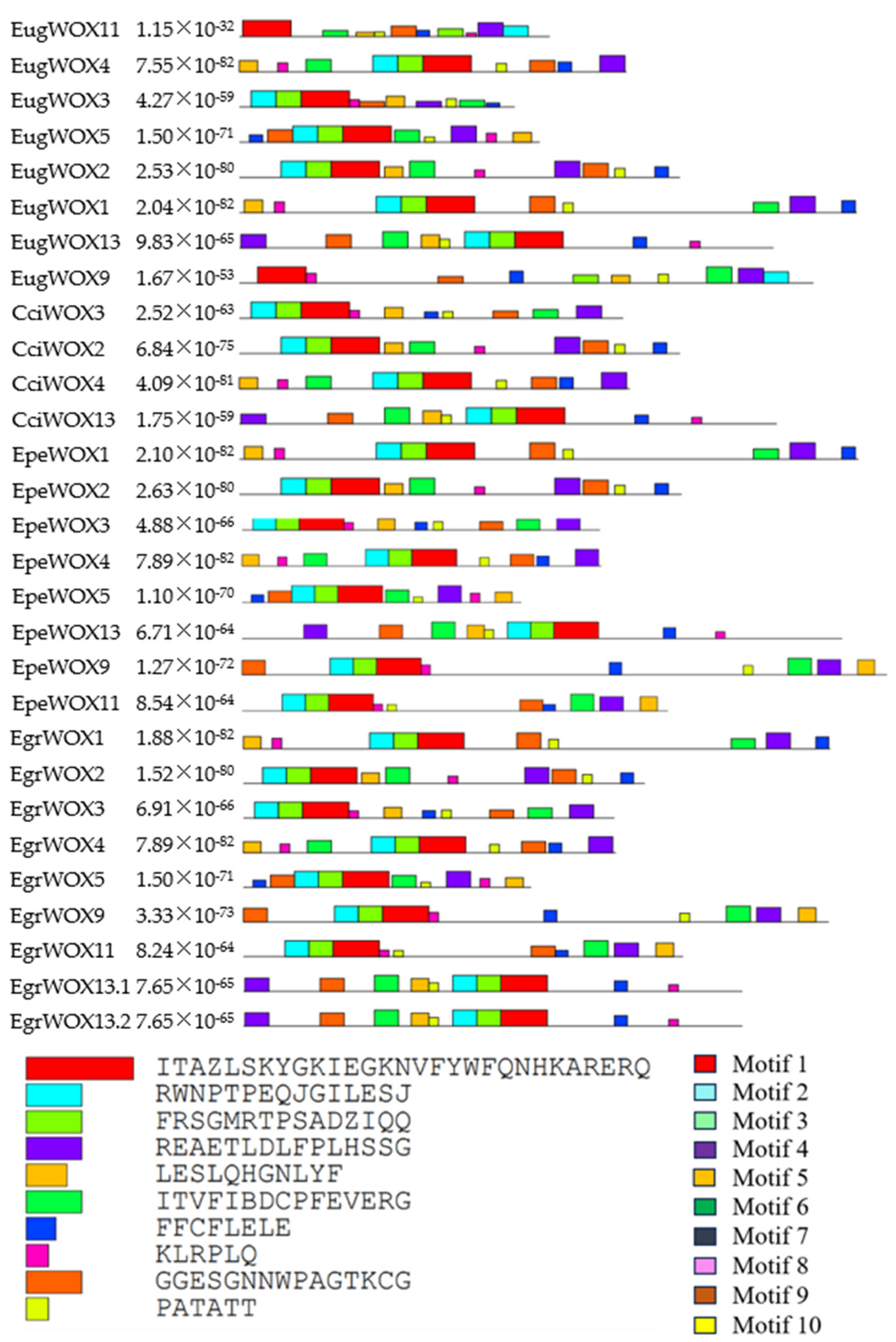 Forests 15 00442 g002
