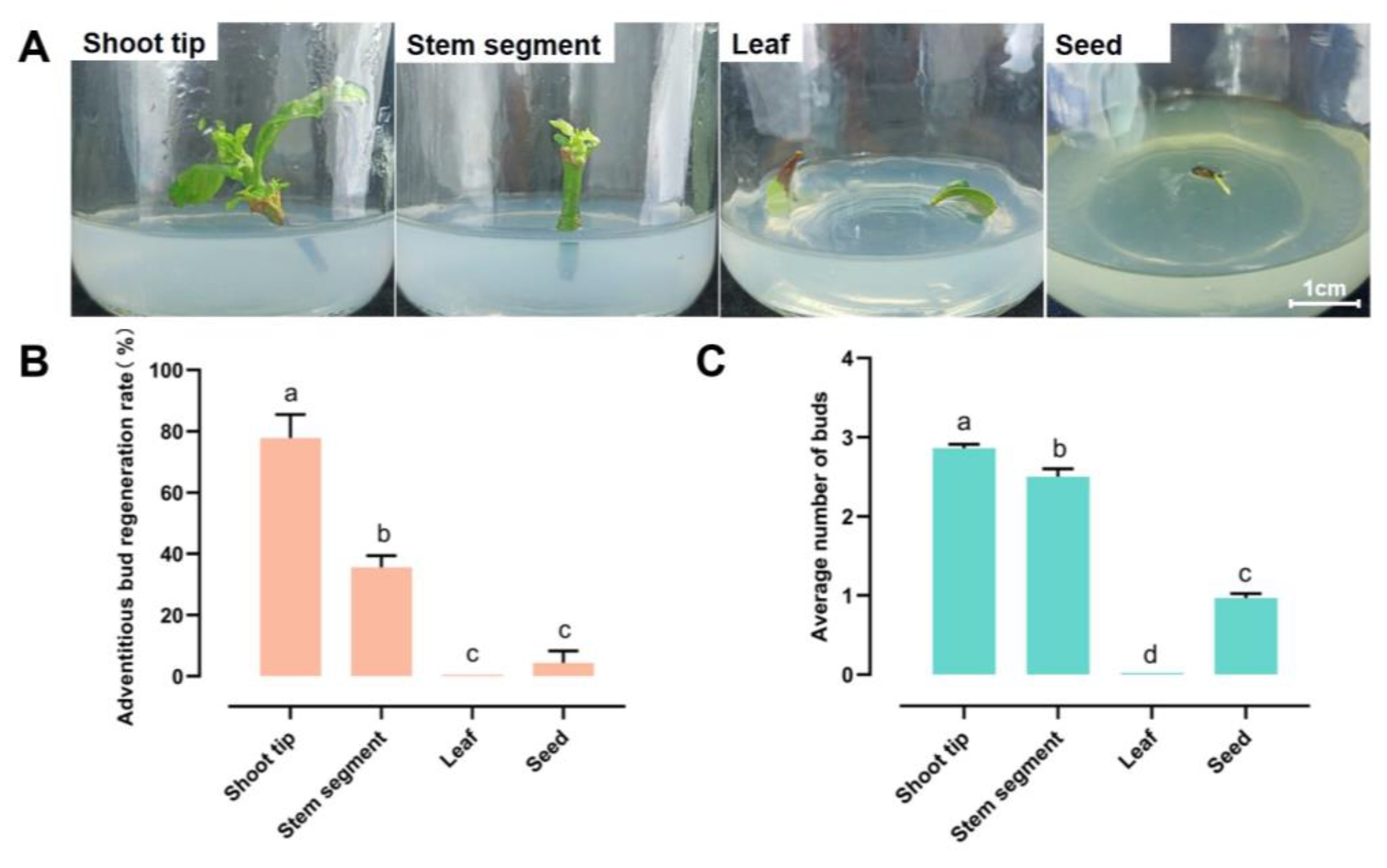 Forests 15 00446 g001