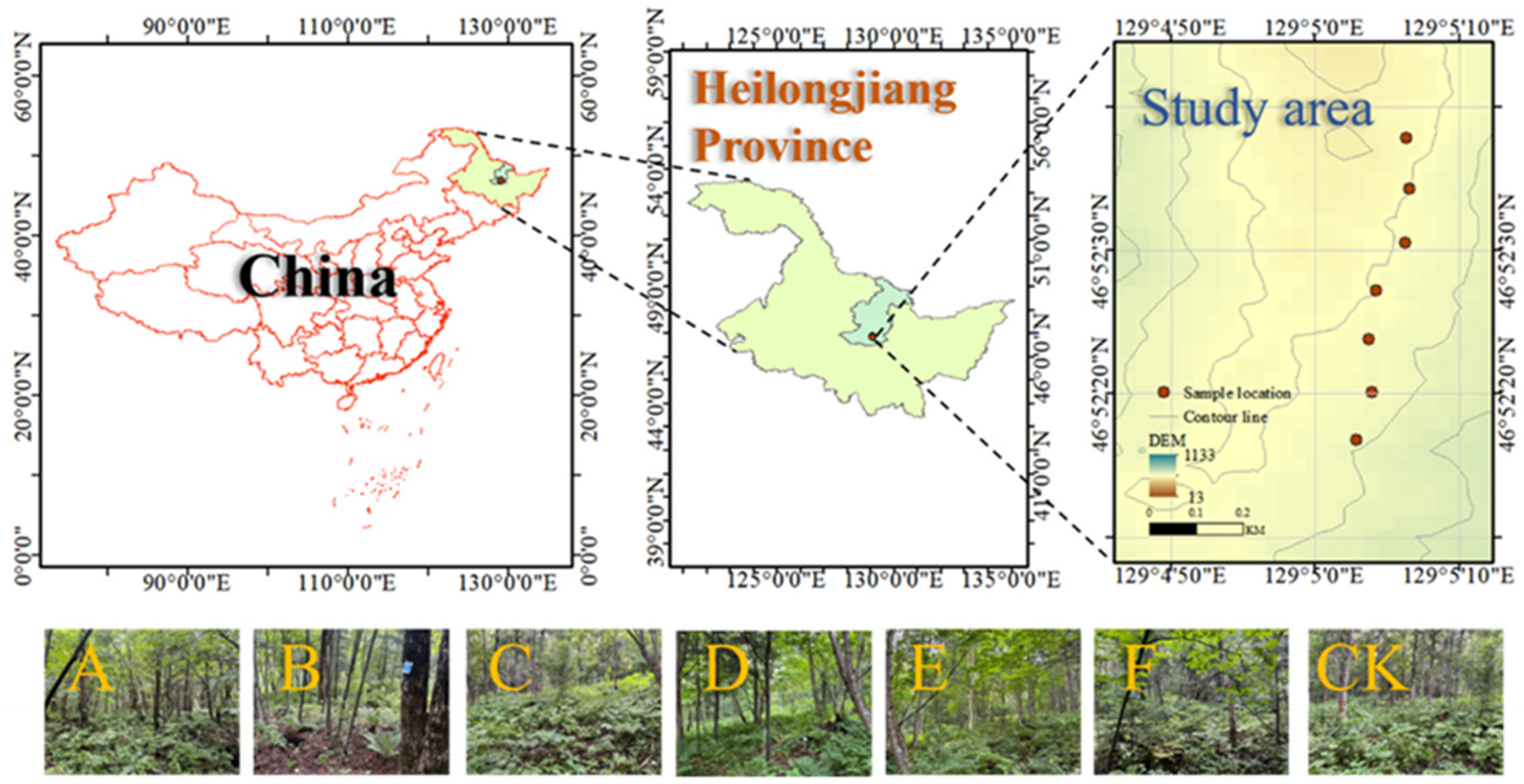 Forests 15 00449 g002