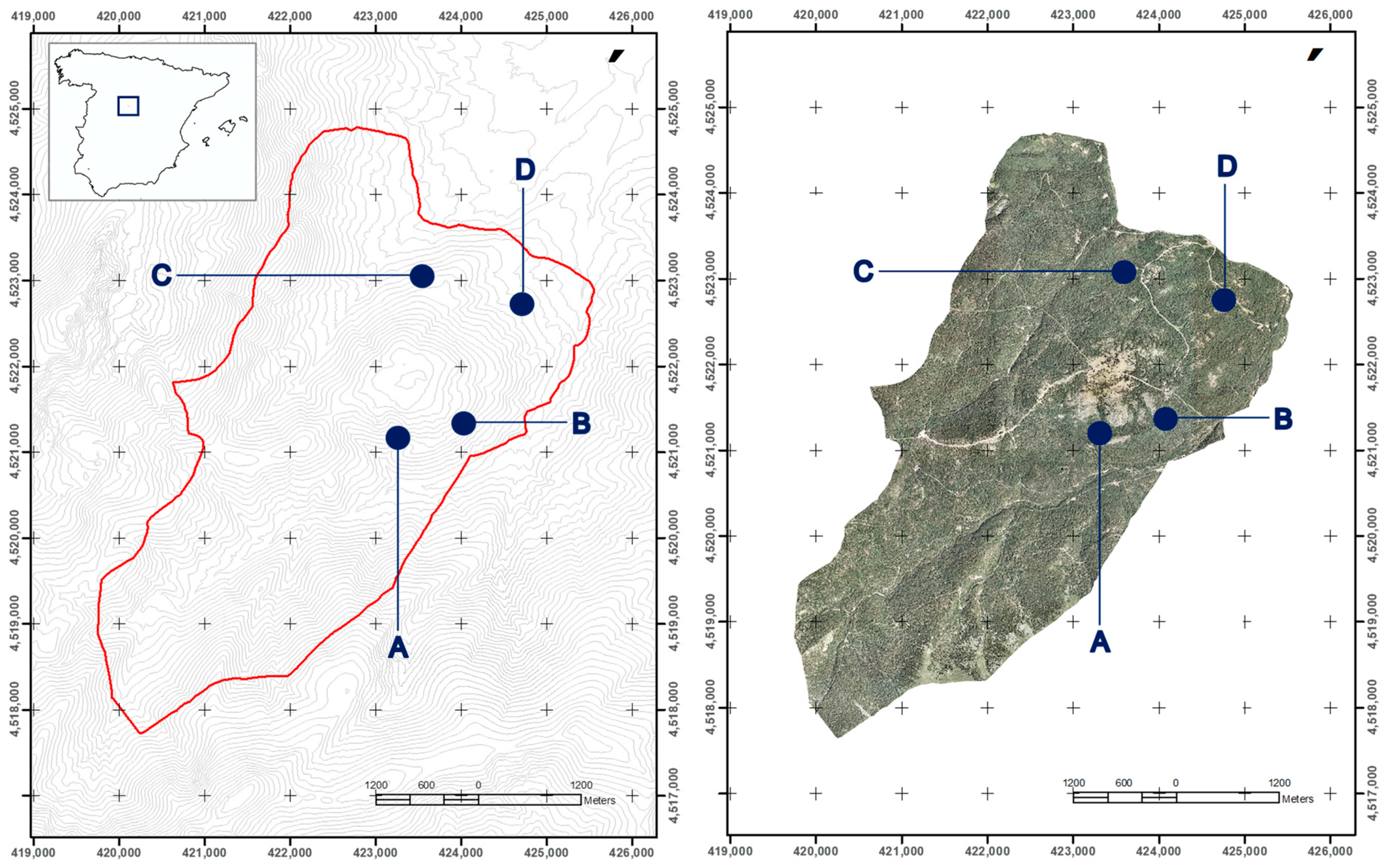 Forests 15 00451 g001