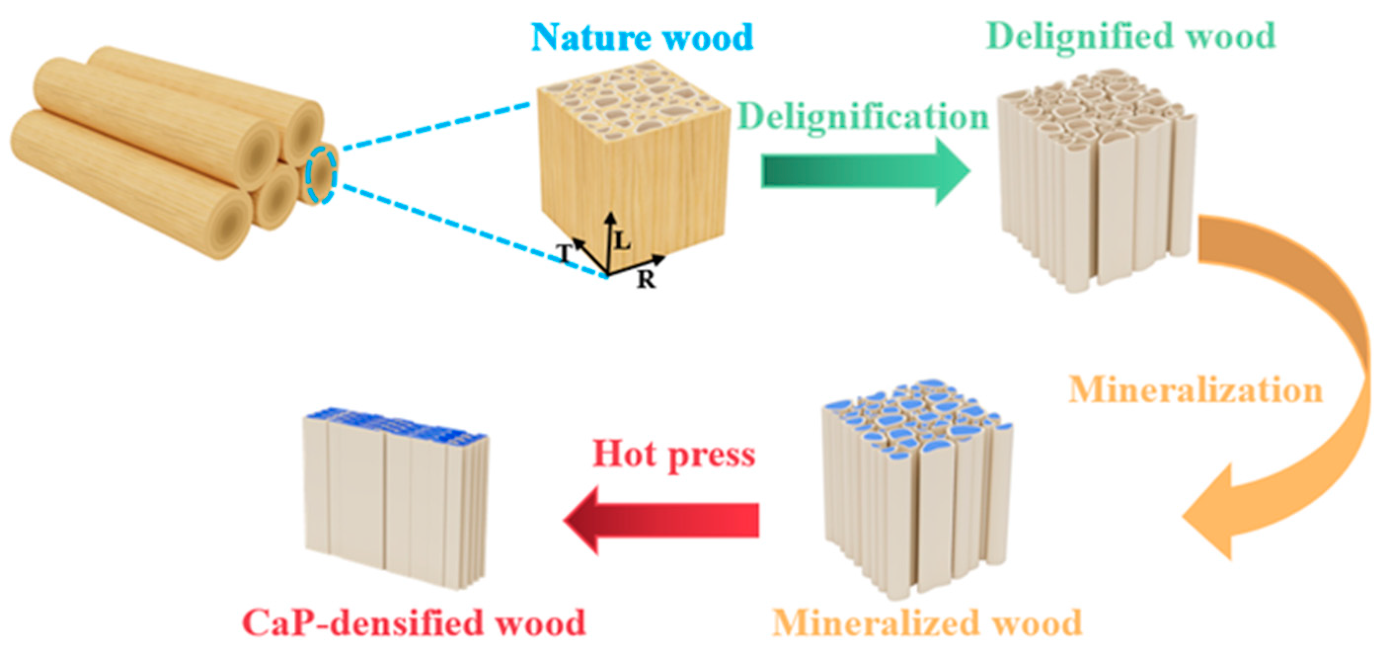 Forests 15 00452 g001