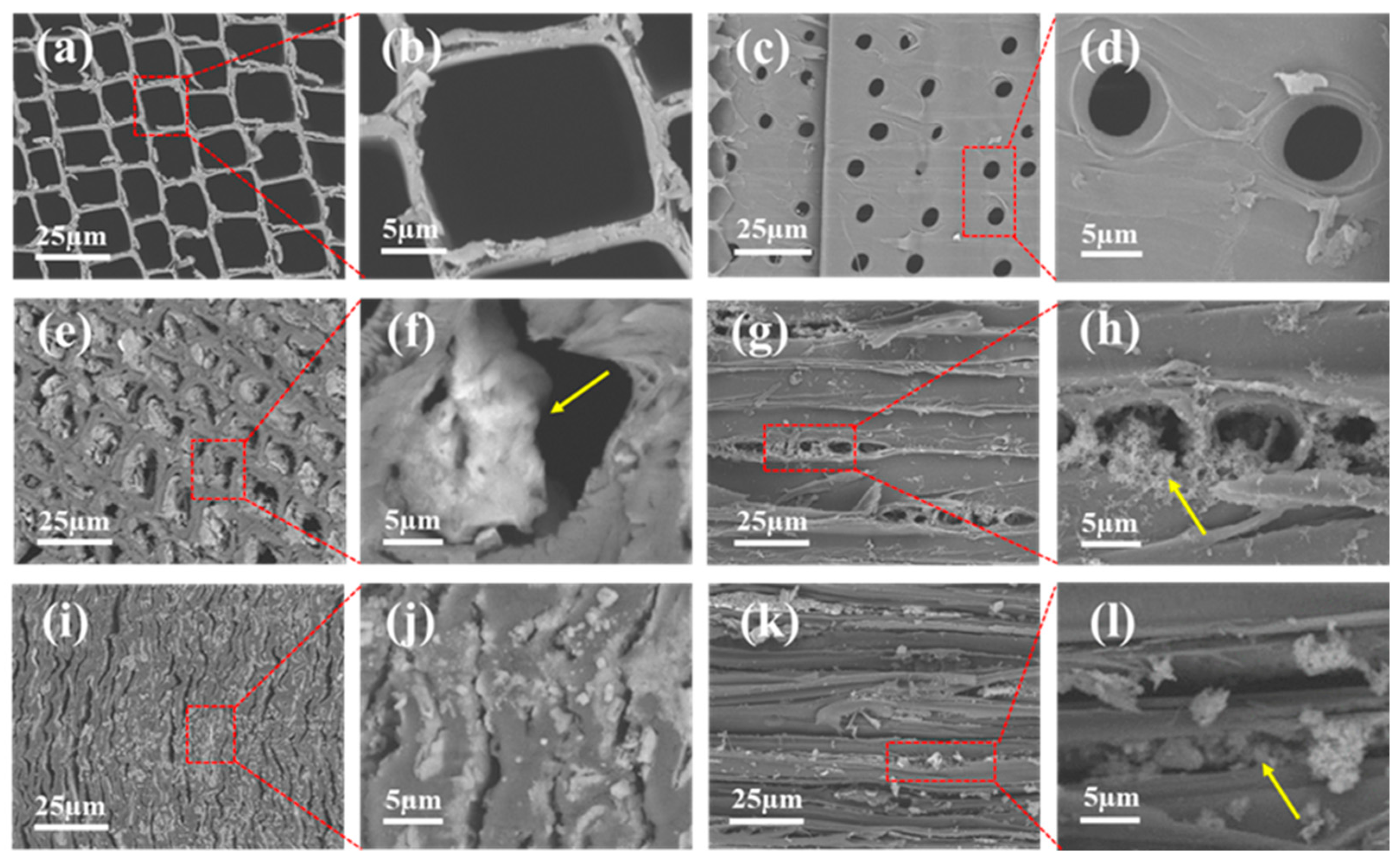Forests 15 00452 g002