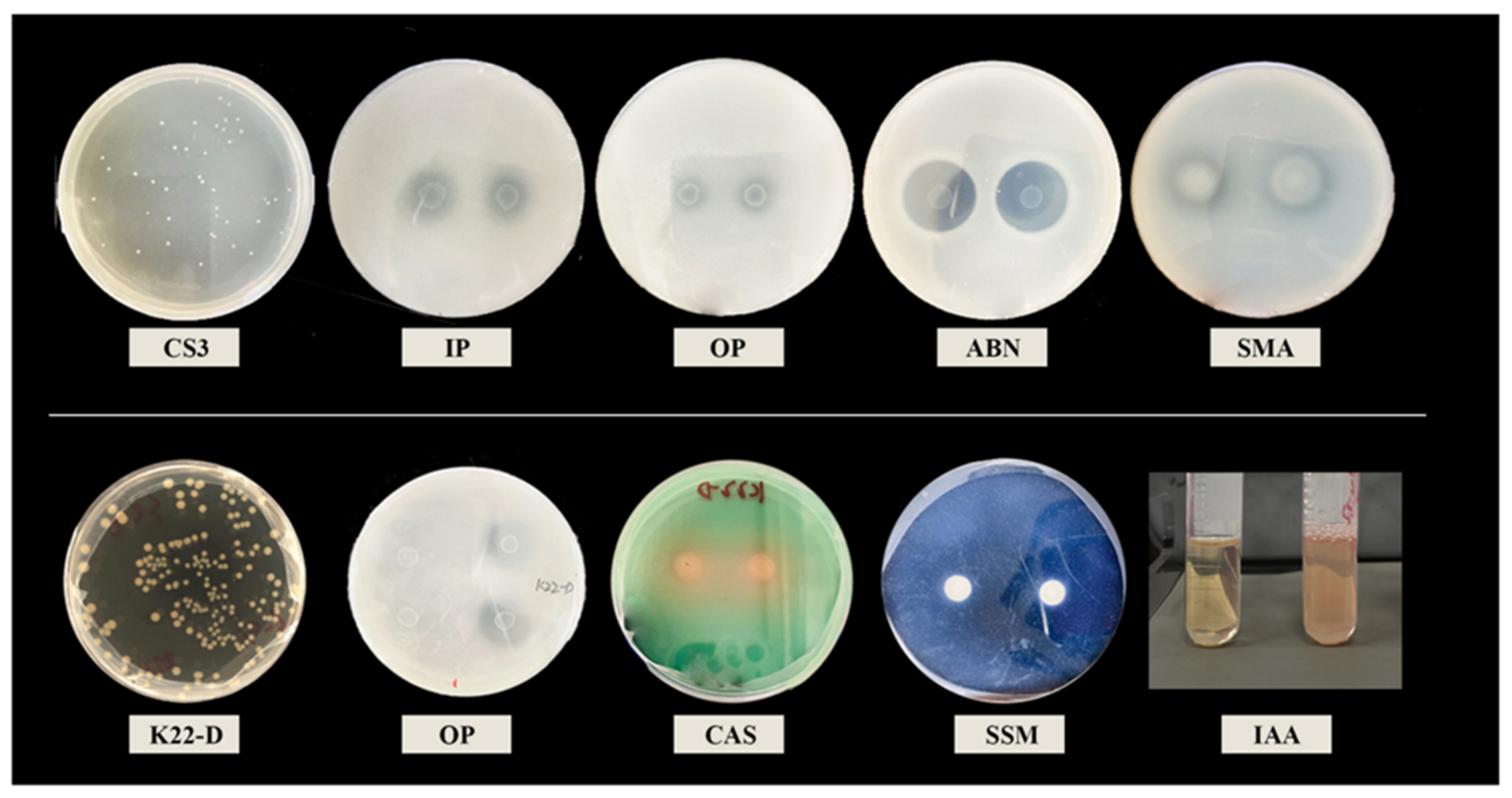 Forests 15 00455 g001