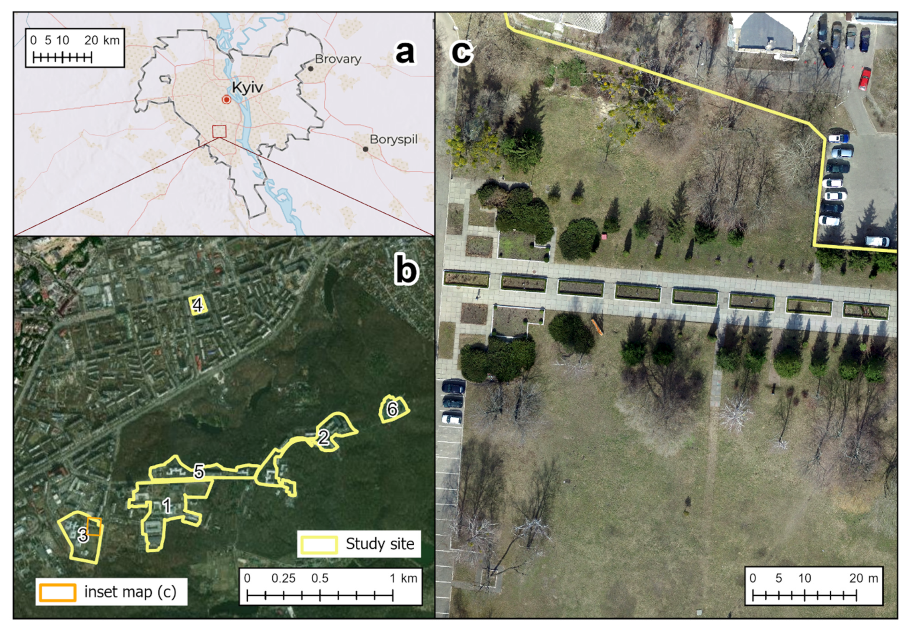 Forests 15 00458 g001
