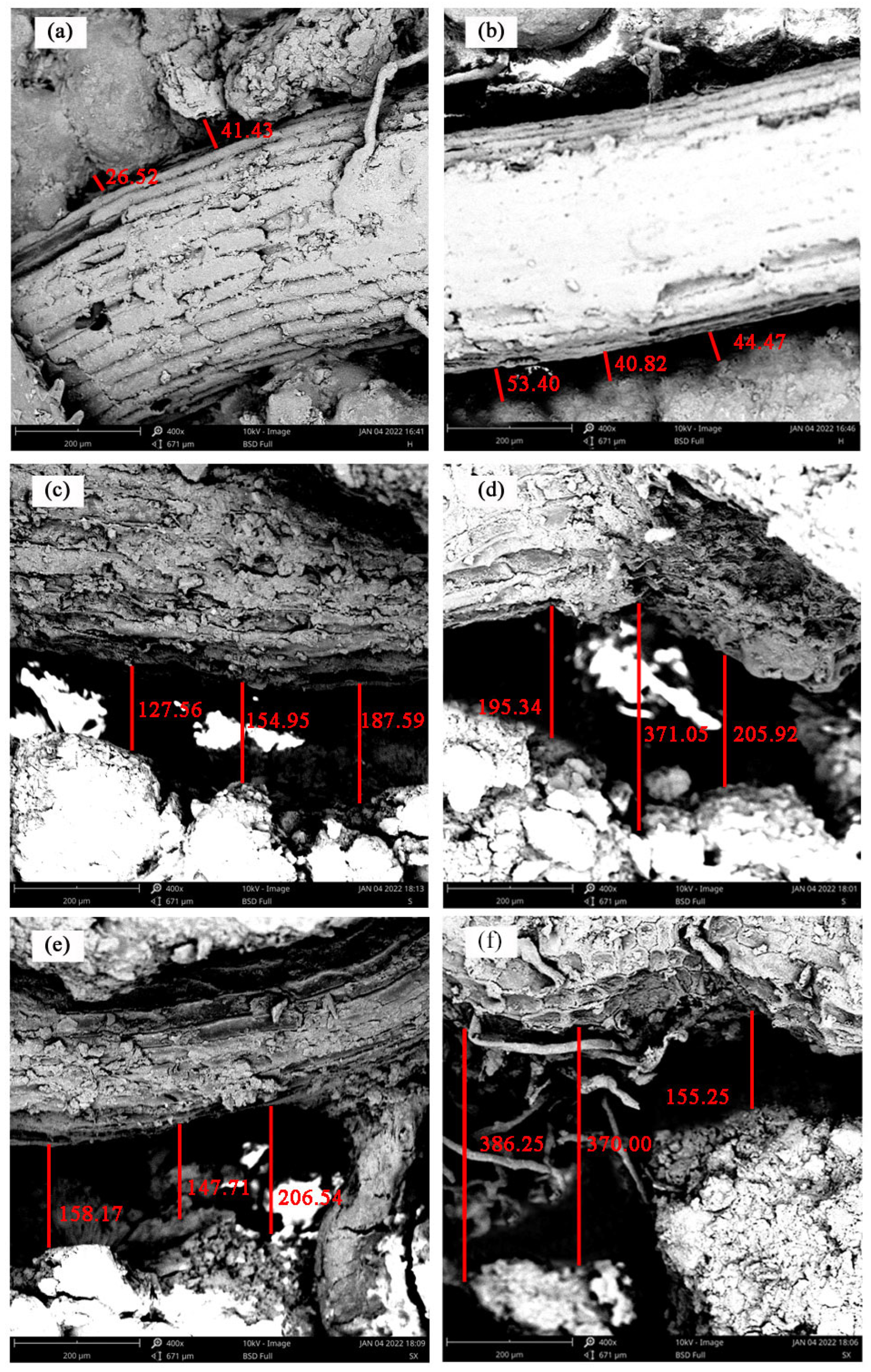 Forests 15 00460 g010