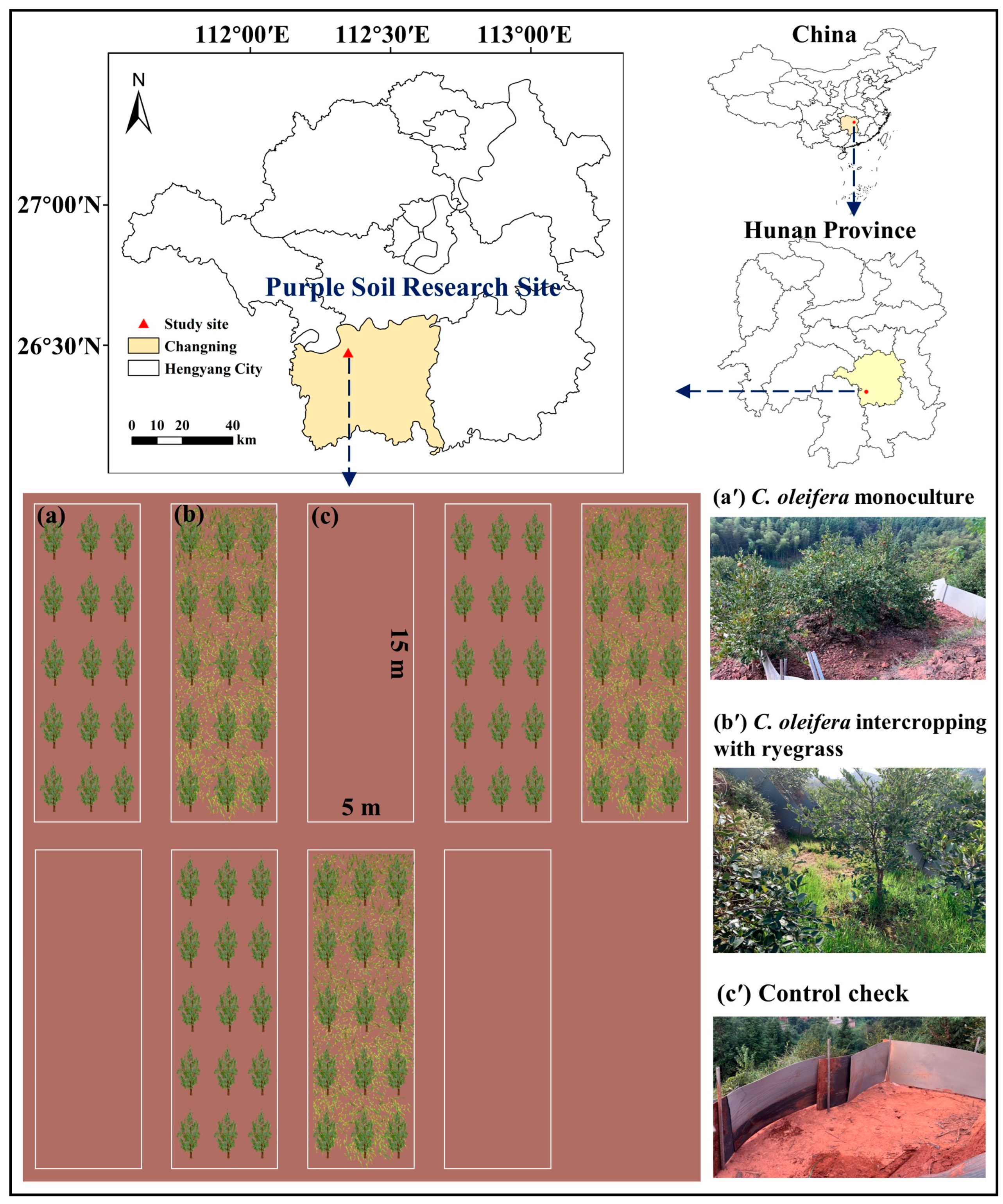 Forests 15 00461 g001 Forests 15 00461 g001