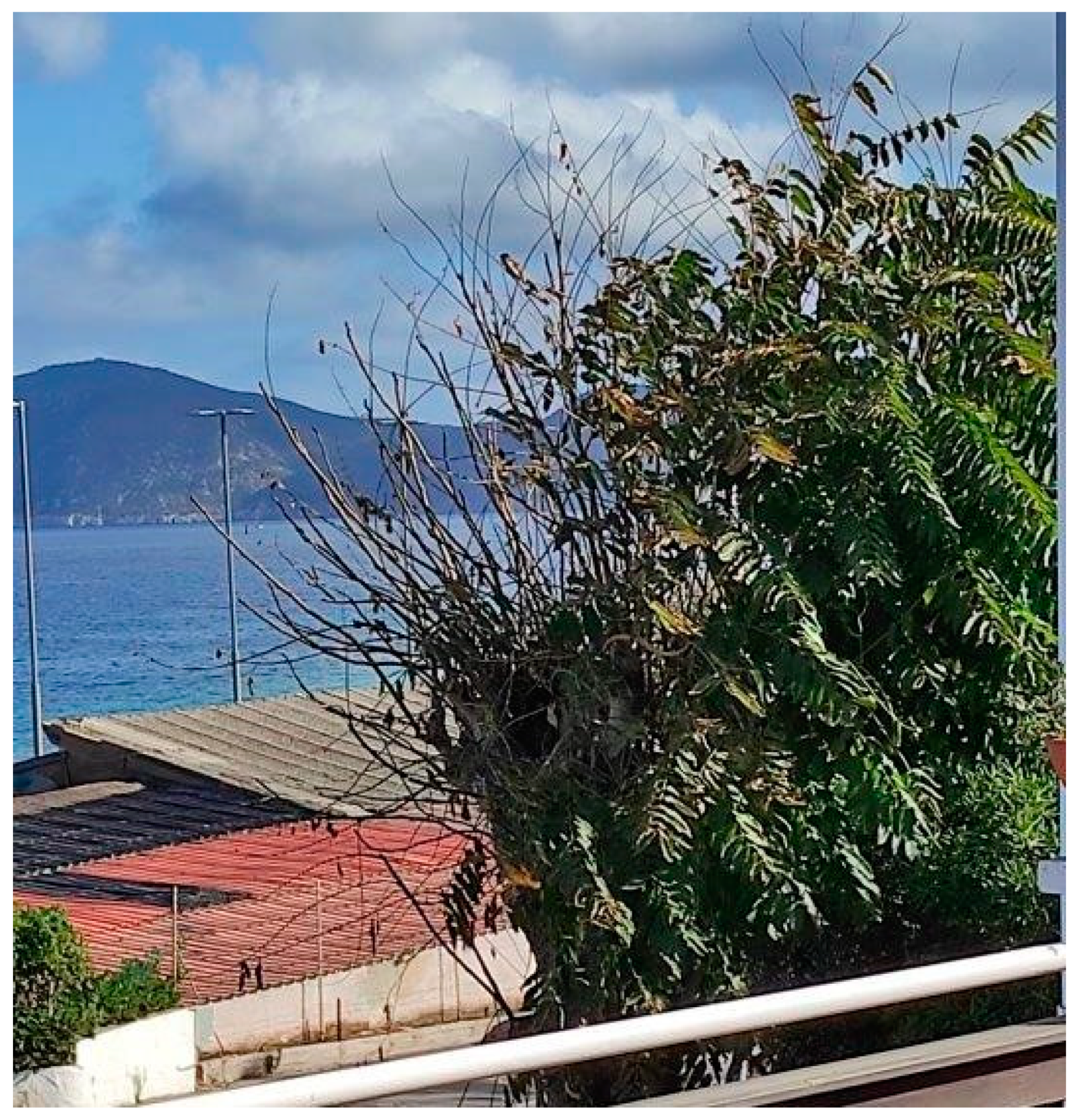 Forests 15 00462 g002