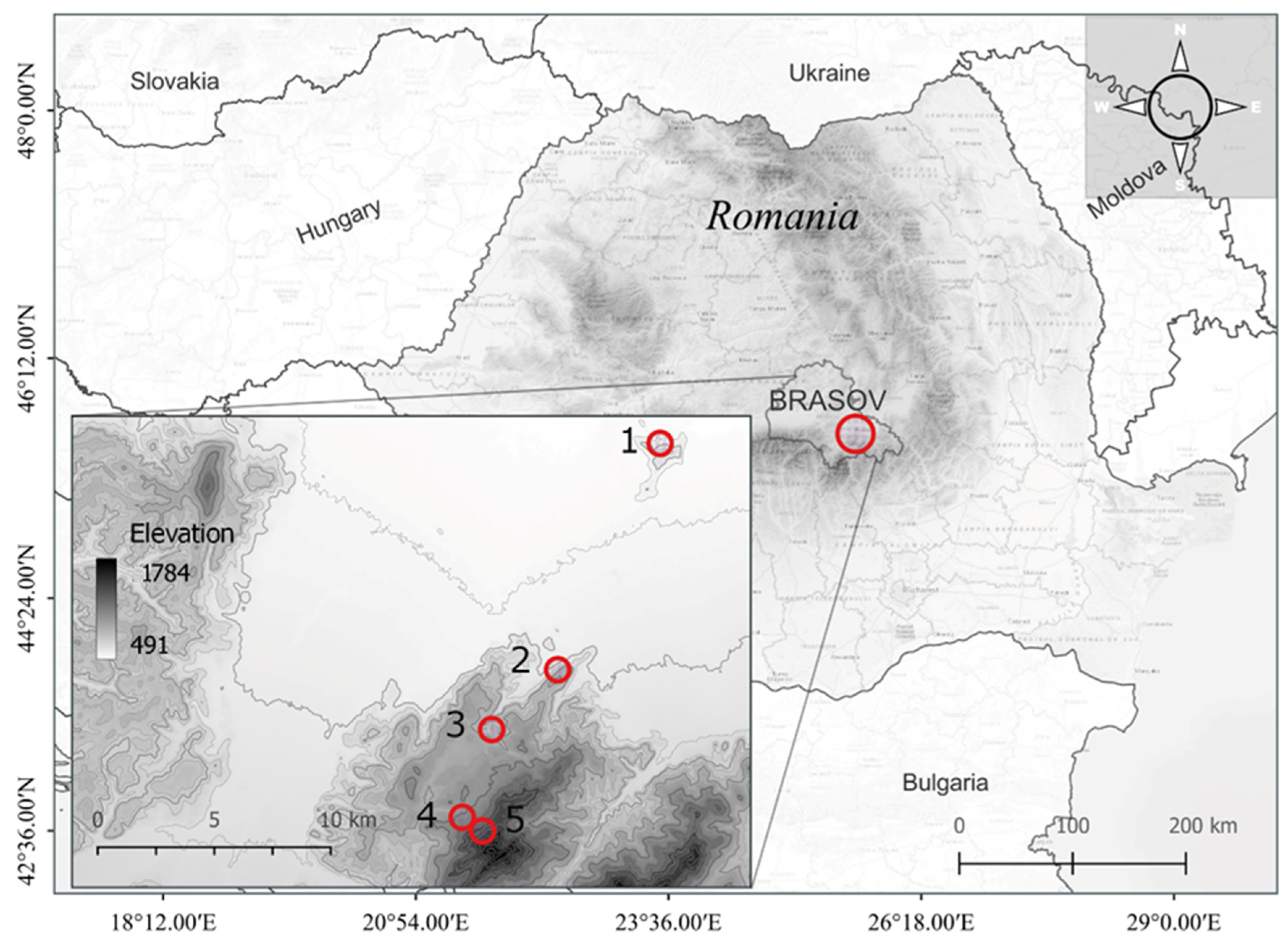 pimpandhost z-img eastern nude Large Differences in Bud Burst and Senescence between Low- and  High-Altitude European Beech Populations along an Altitudinal Transect in  the South-Eastern Carpathians