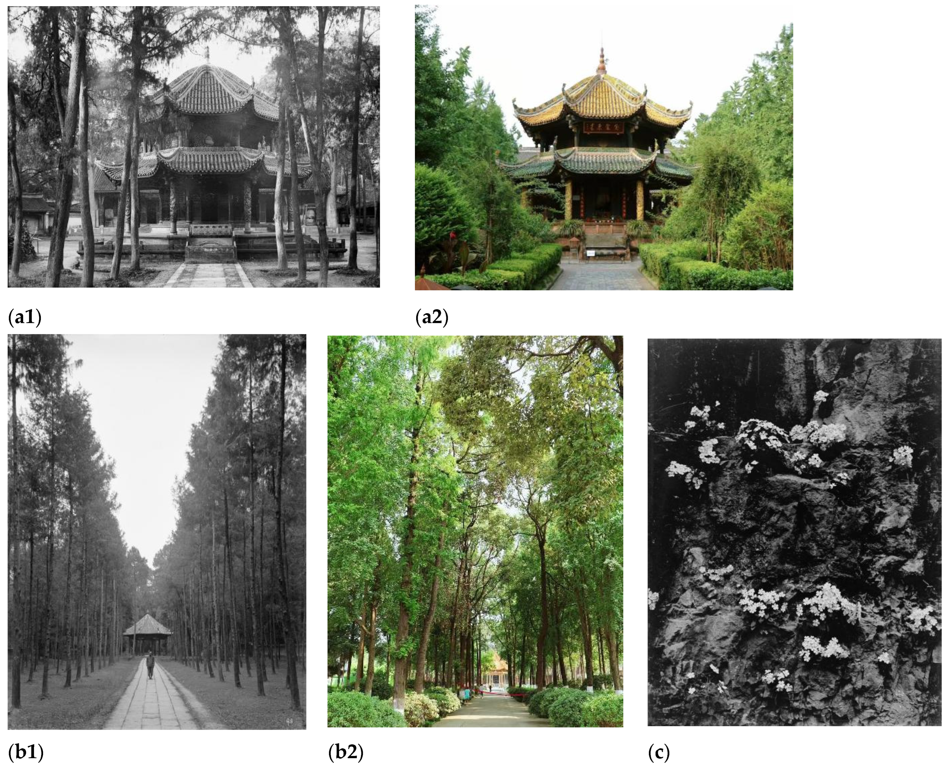 Forests 15 00475 g004 Forests 15 00475 g004