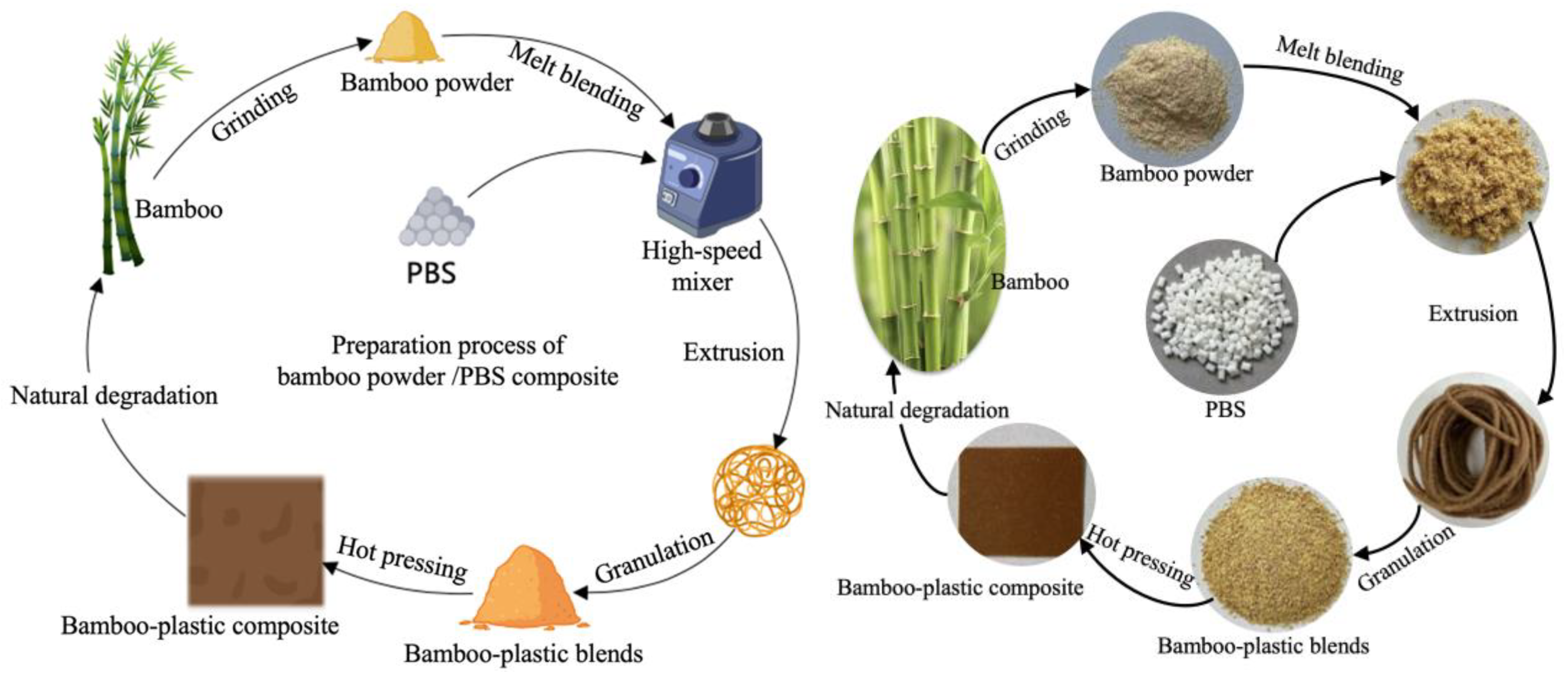 Forests 15 00478 g001