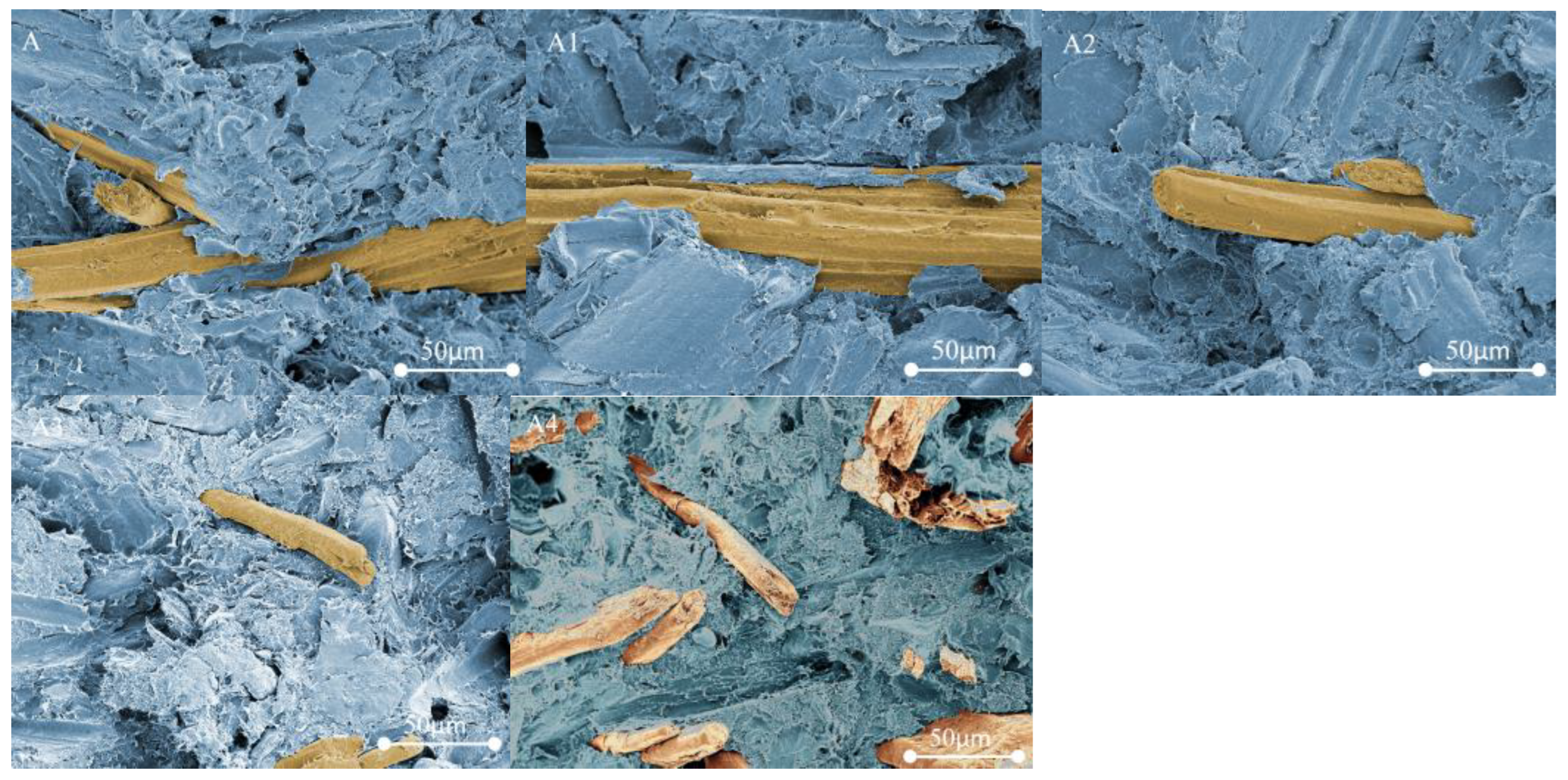 Forests 15 00478 g012