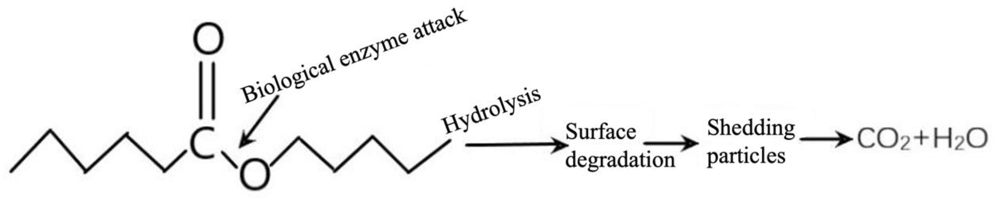 Forests 15 00478 sch001