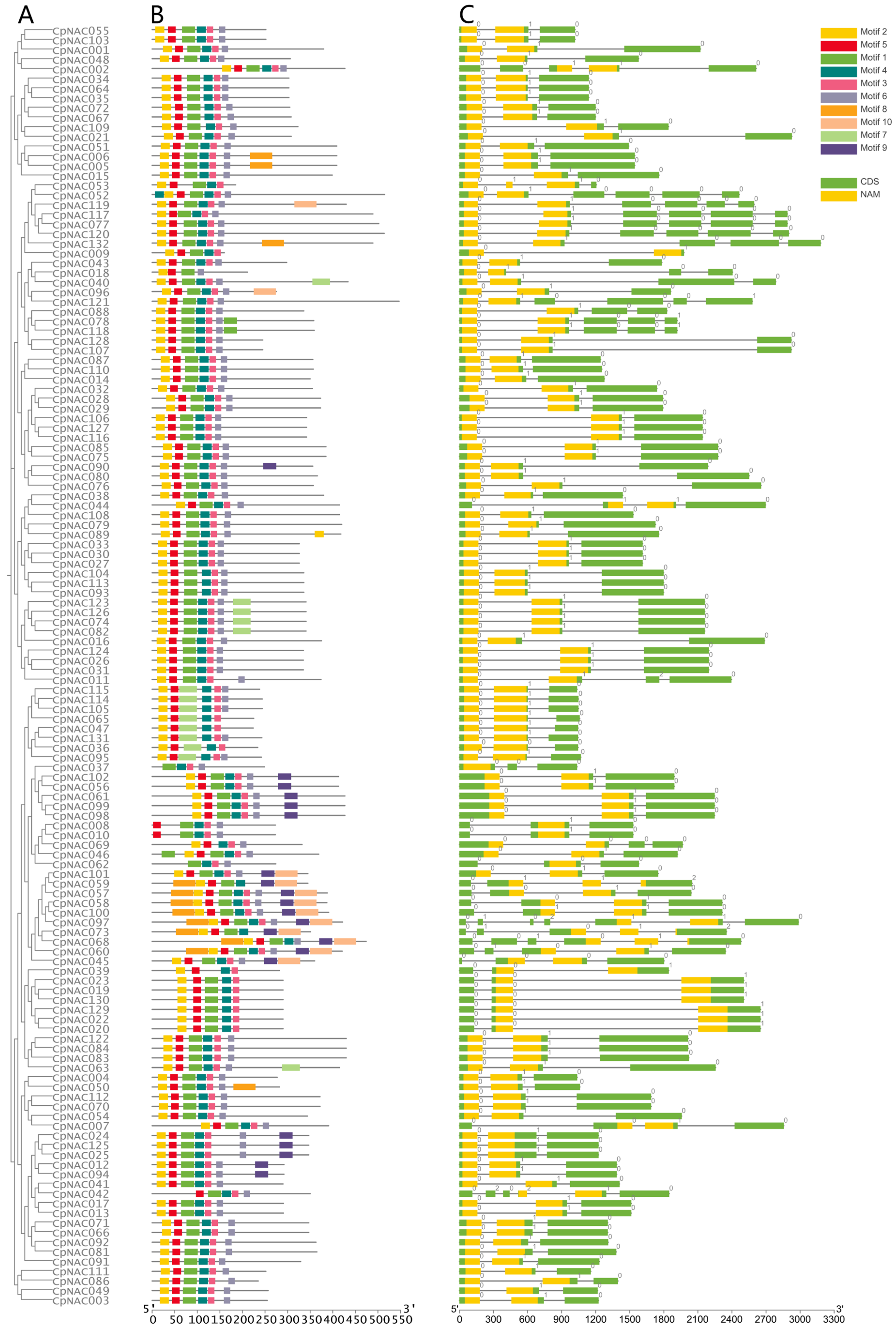 Forests 15 00479 g001