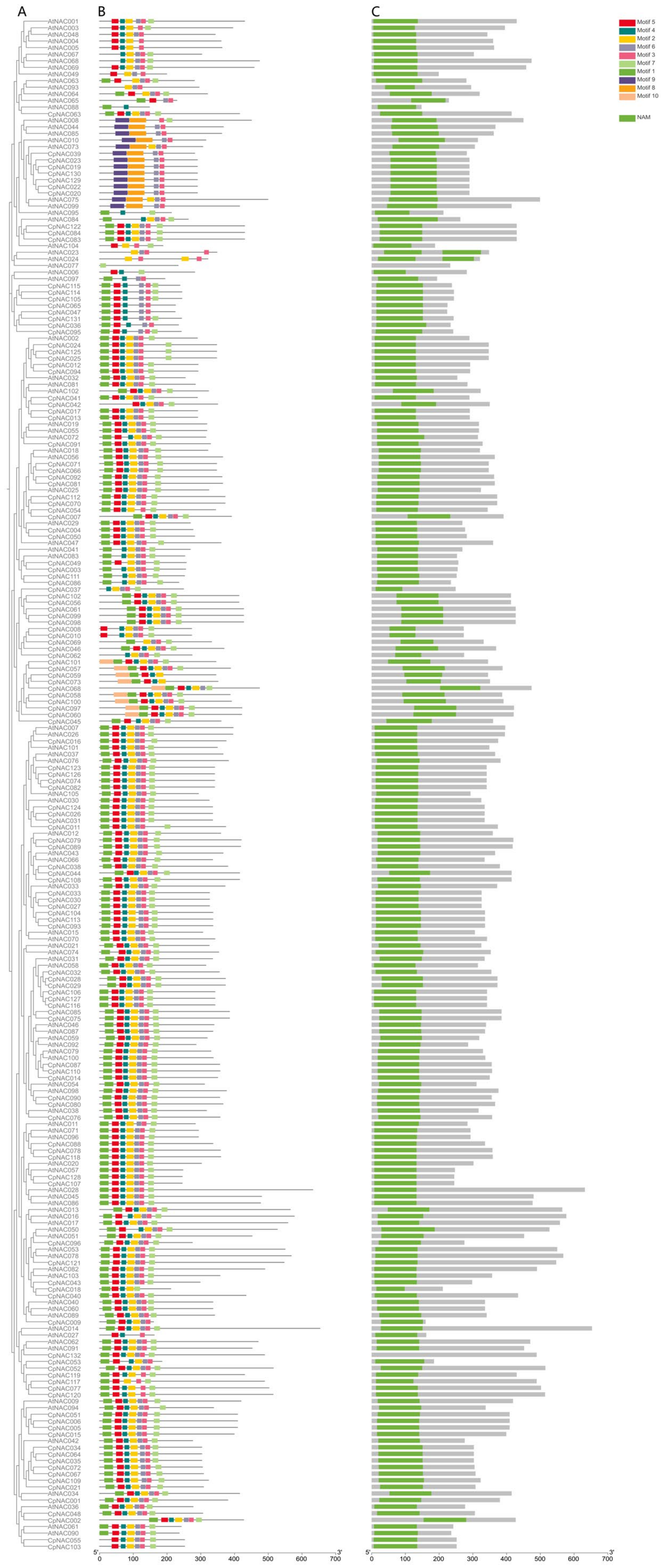 Forests 15 00479 g002