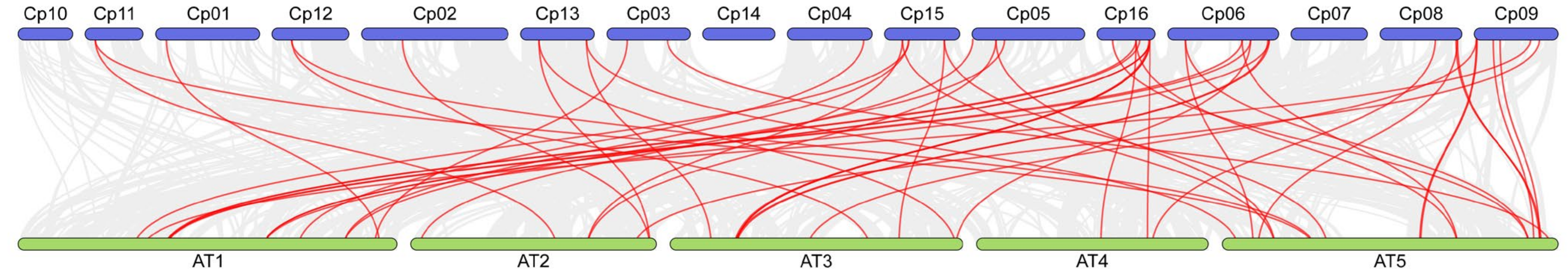 Forests 15 00479 g005