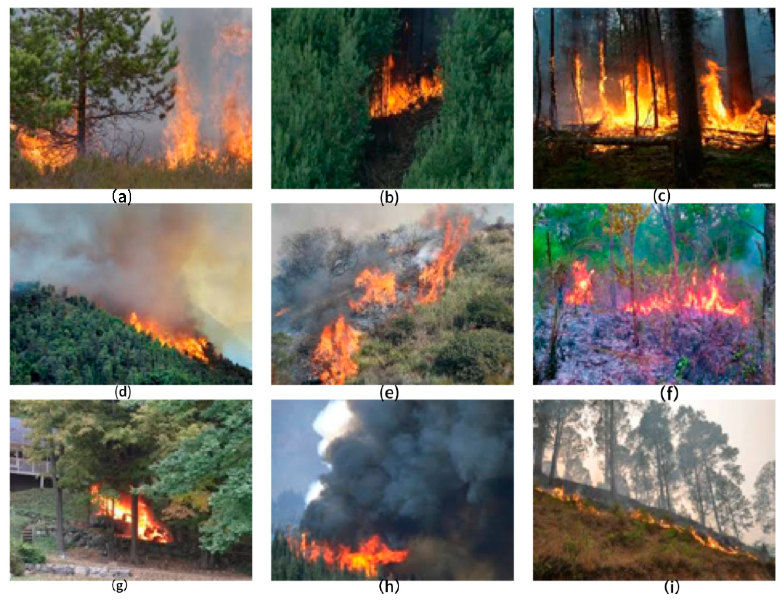 Forests 15 00483 g007