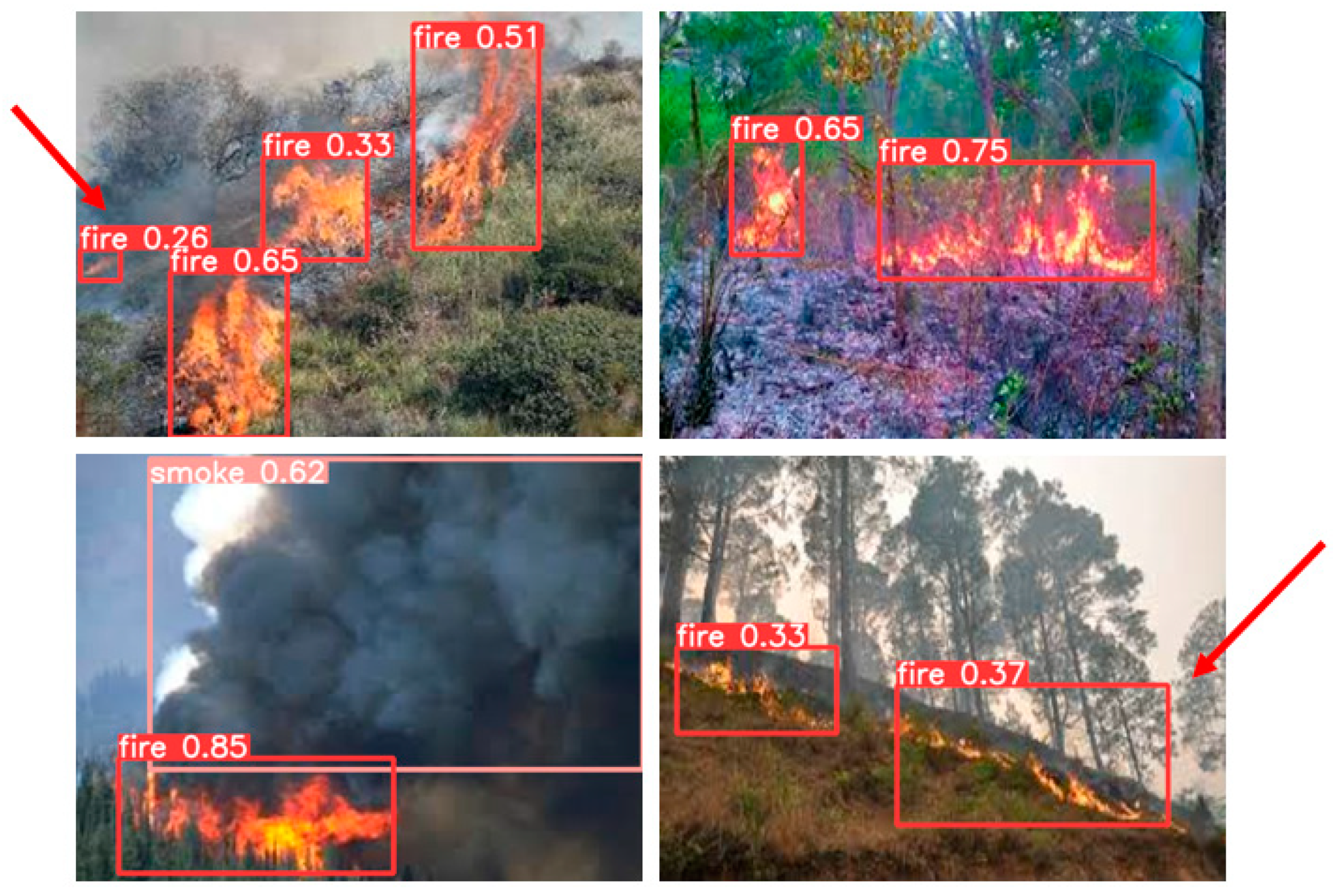 Forests 15 00483 g010