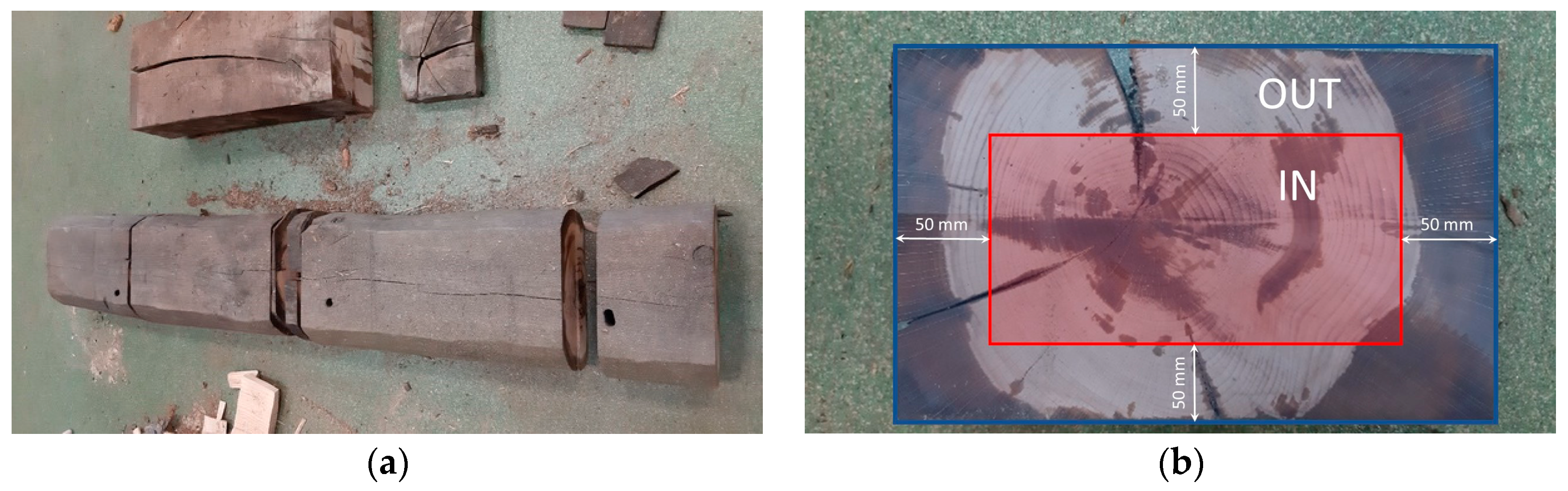 Forests 15 00485 g001