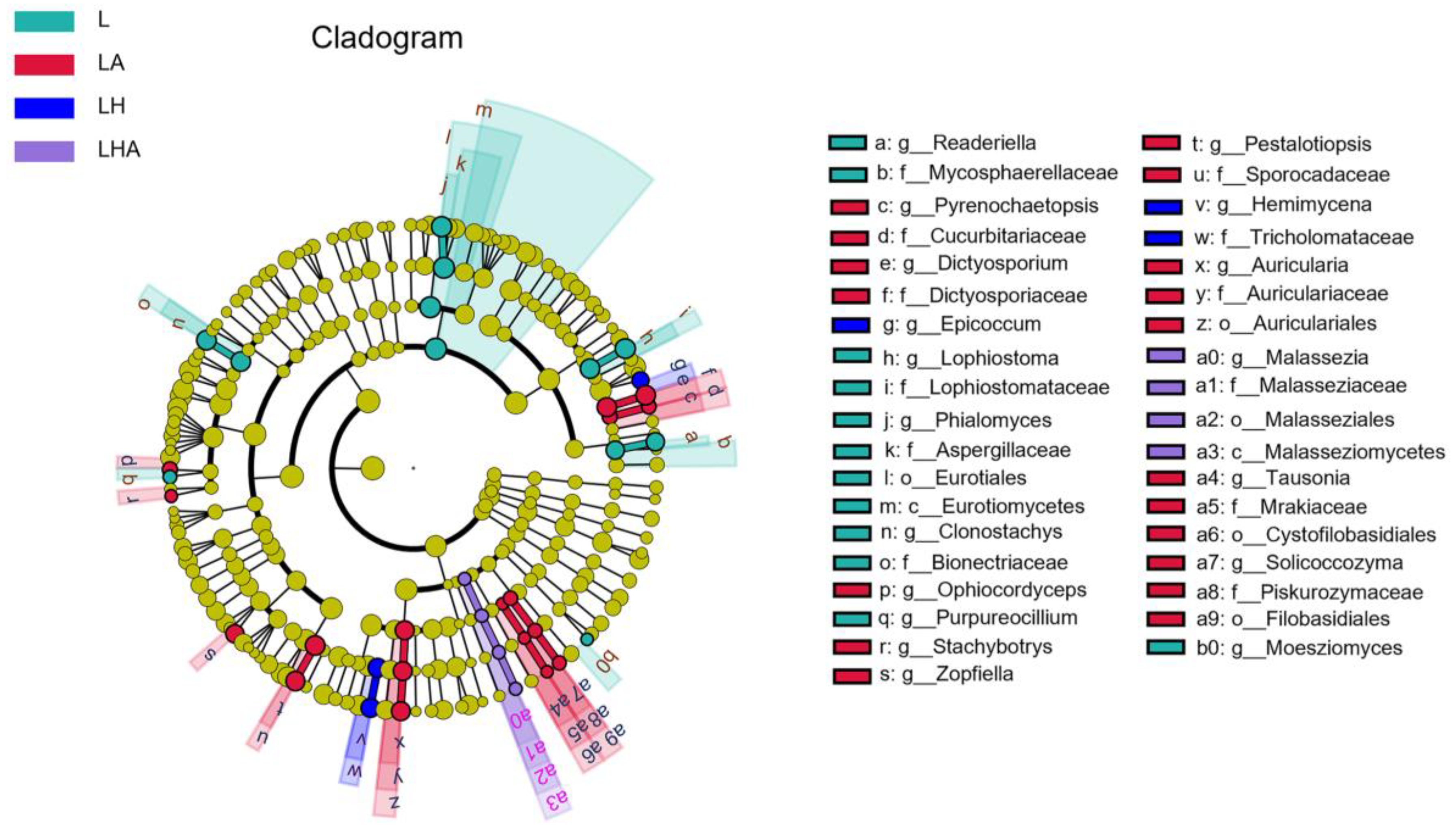 Forests 15 00488 g005