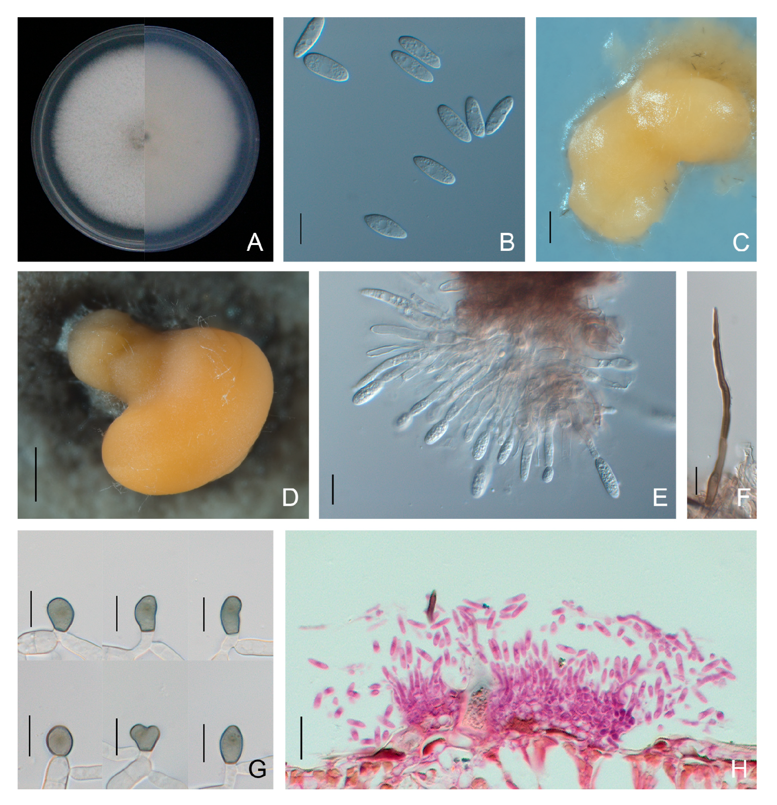 Forests 15 00490 g007