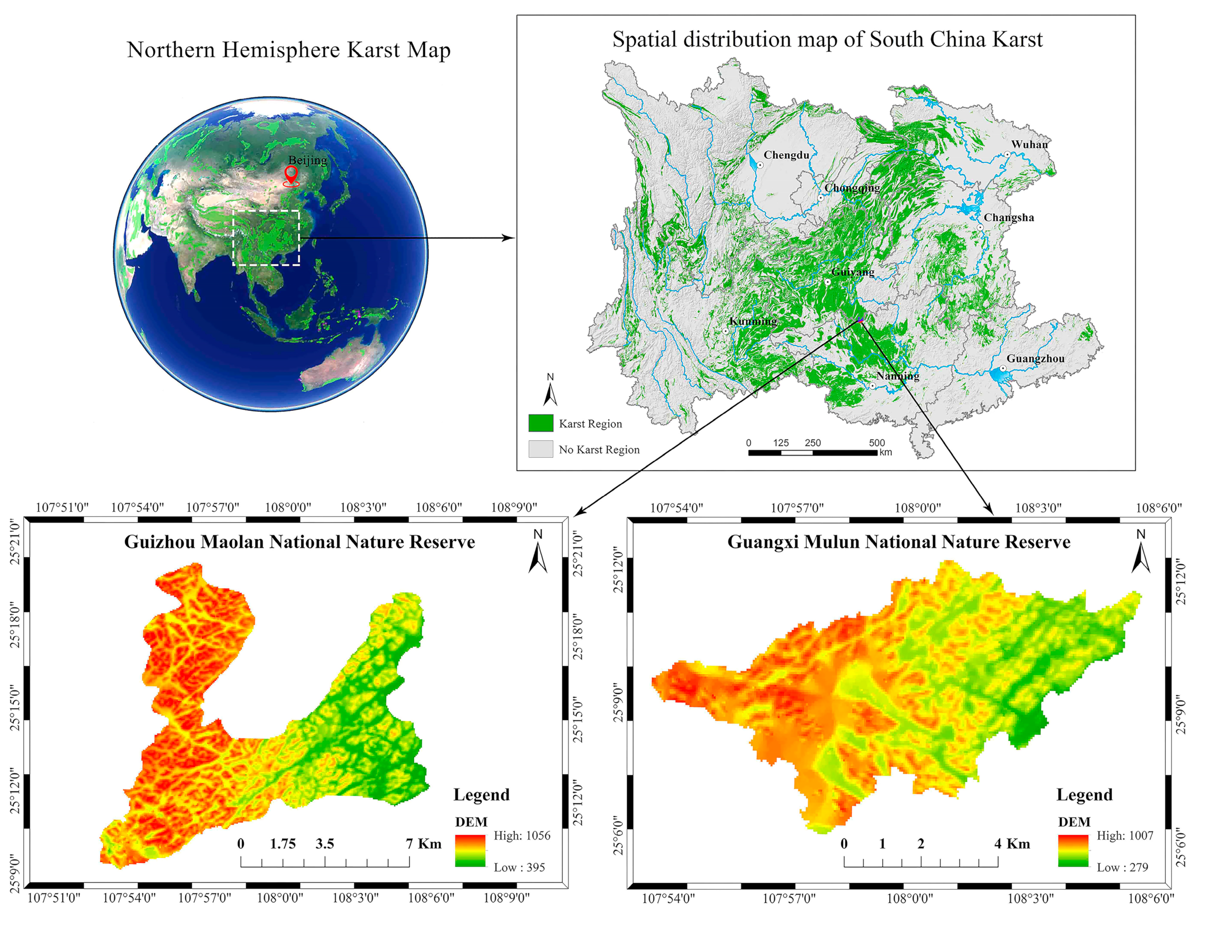 Forests 15 00493 g001