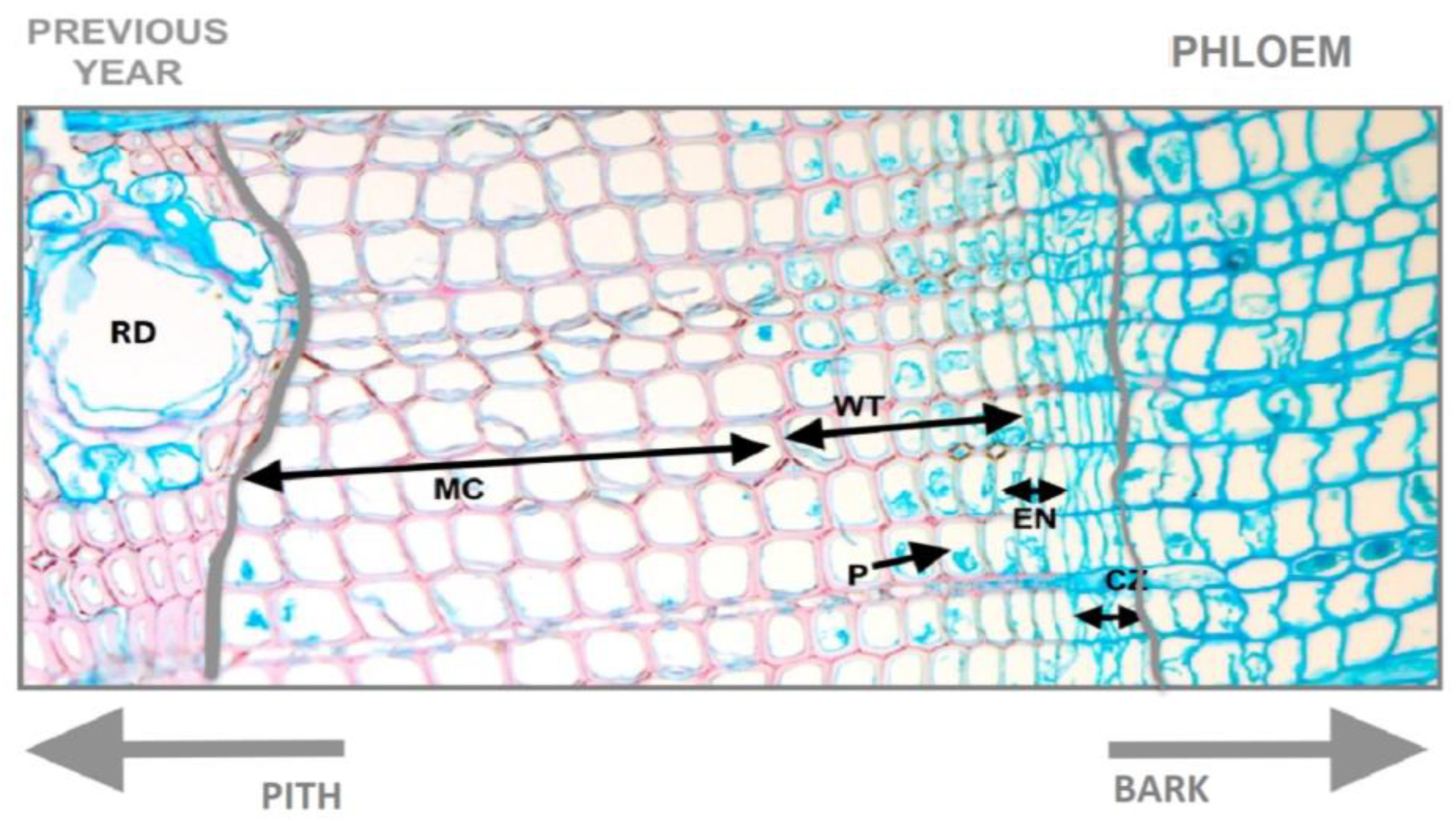 Forests 15 00494 g002
