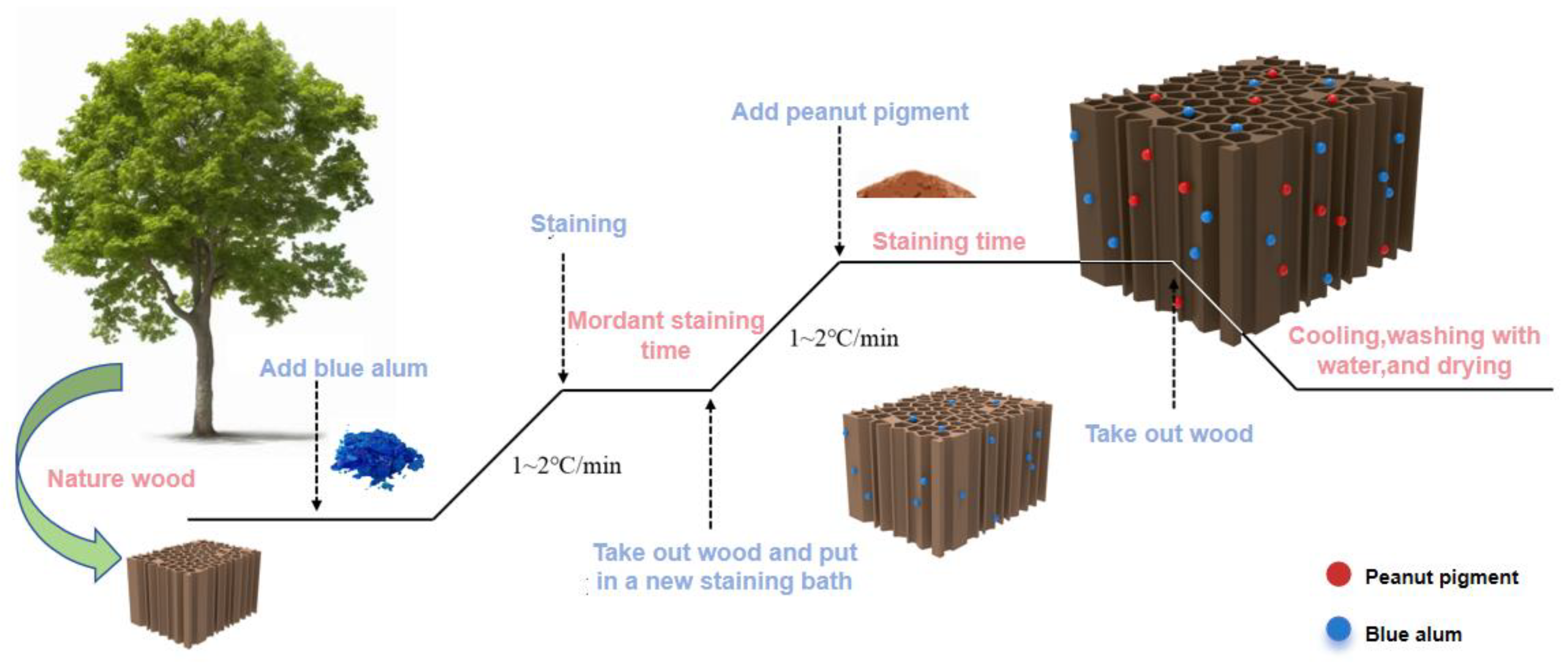 Forests 15 00504 g002