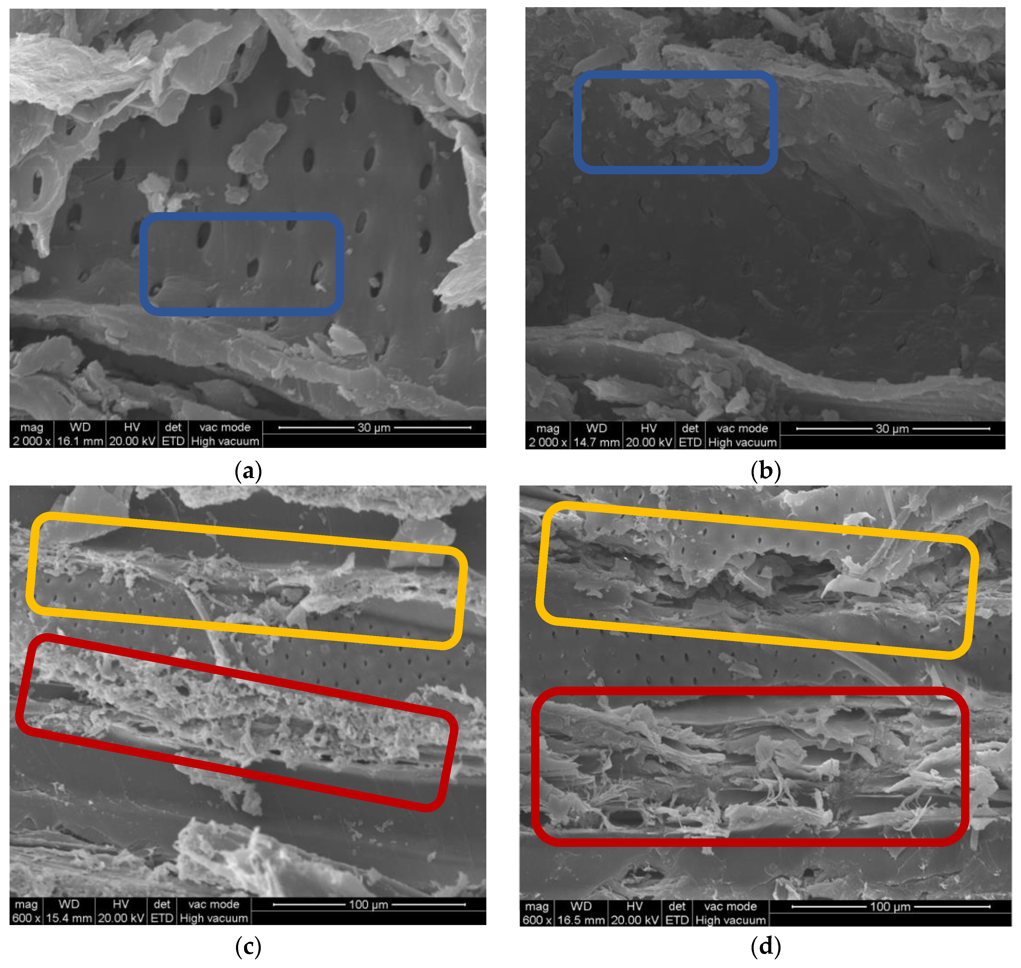 Forests 15 00504 g007
