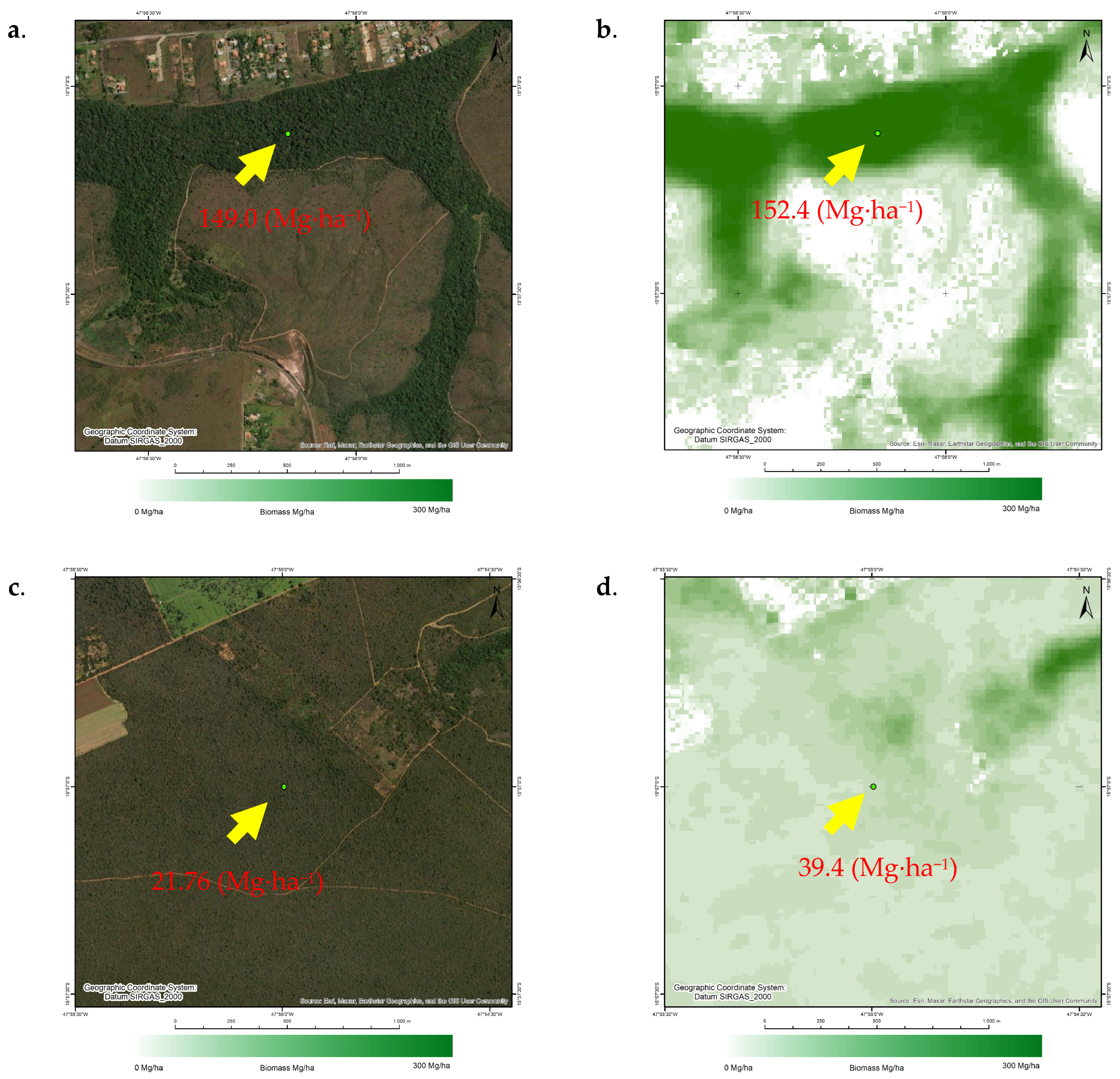 Forests 15 00507 g006a