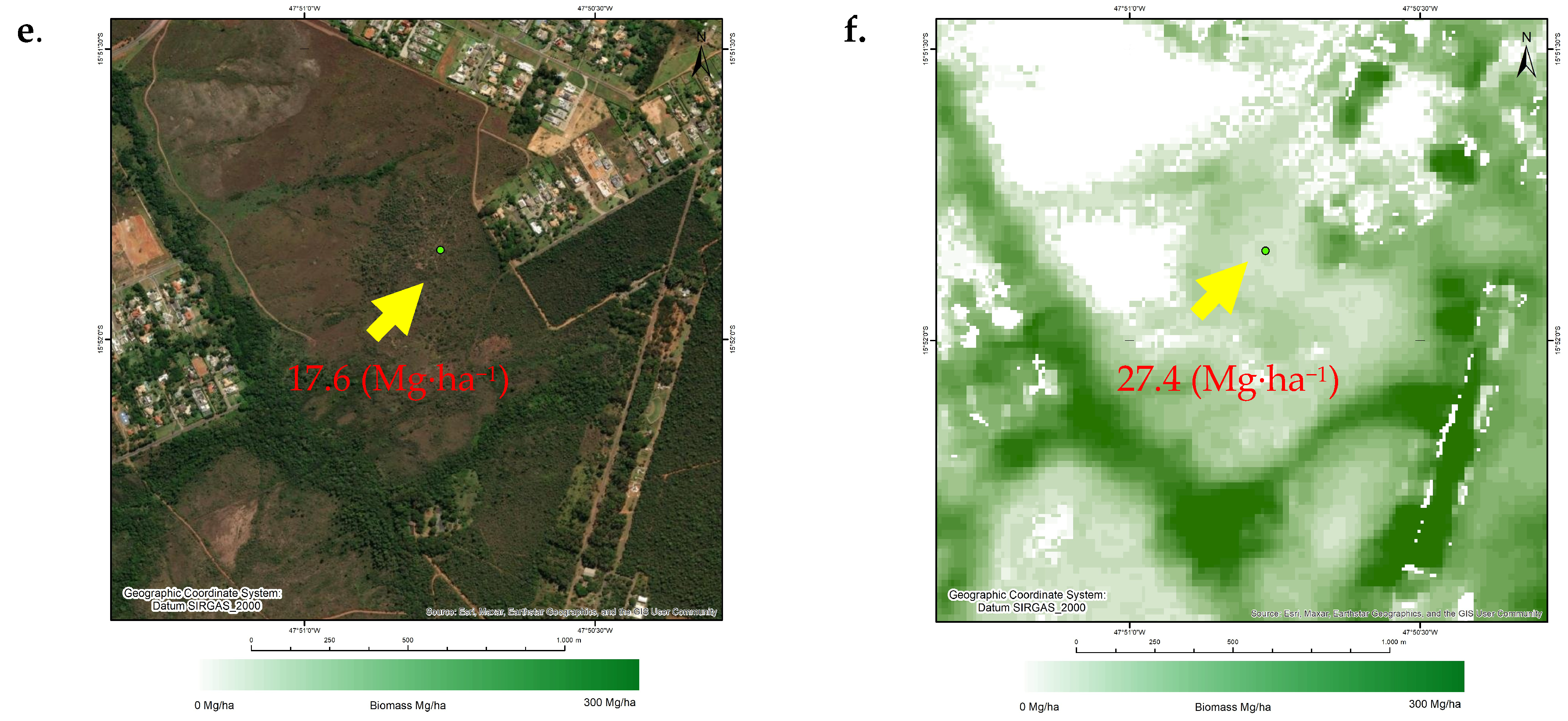 Forests 15 00507 g006b