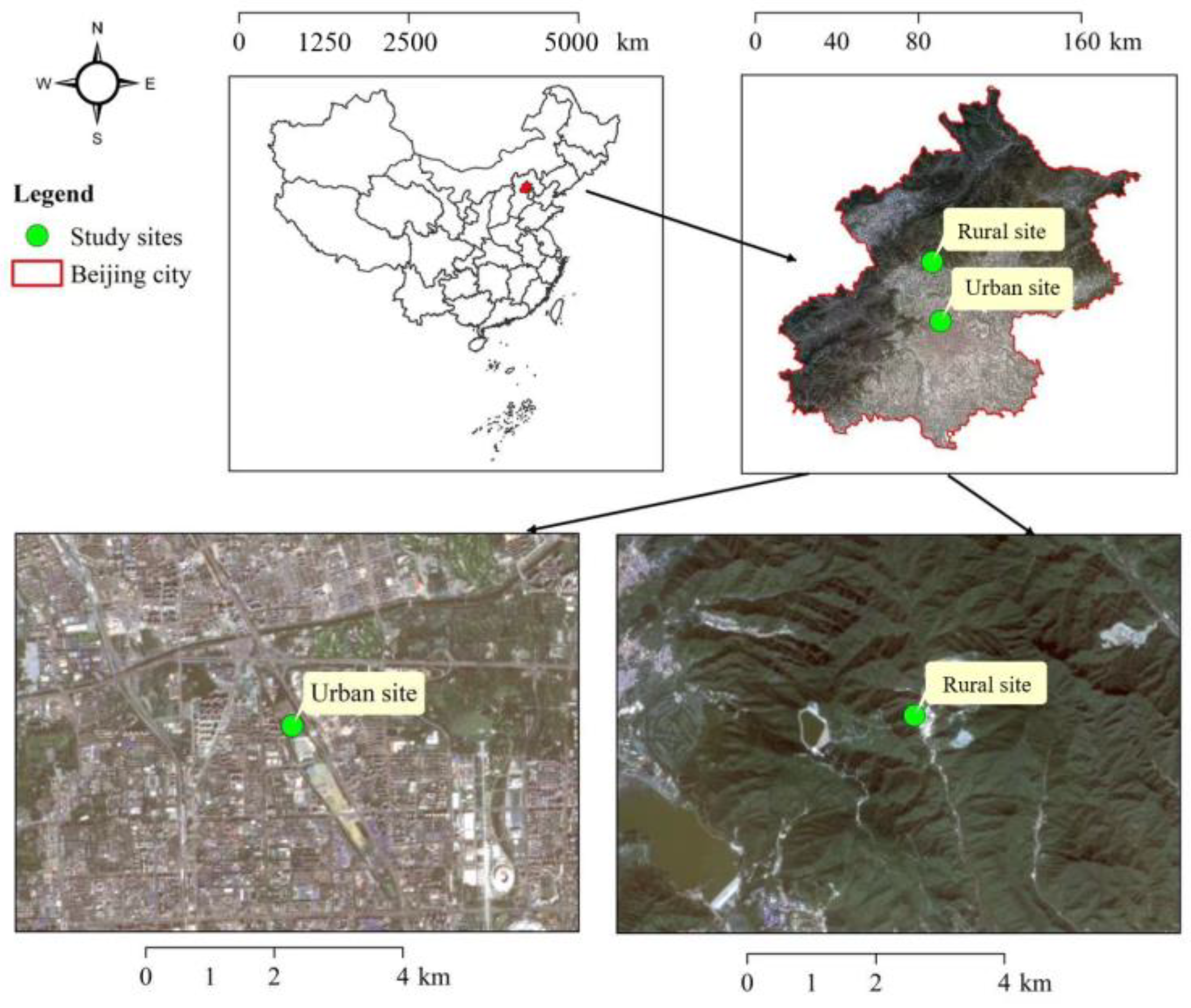 Forests 15 00508 g001