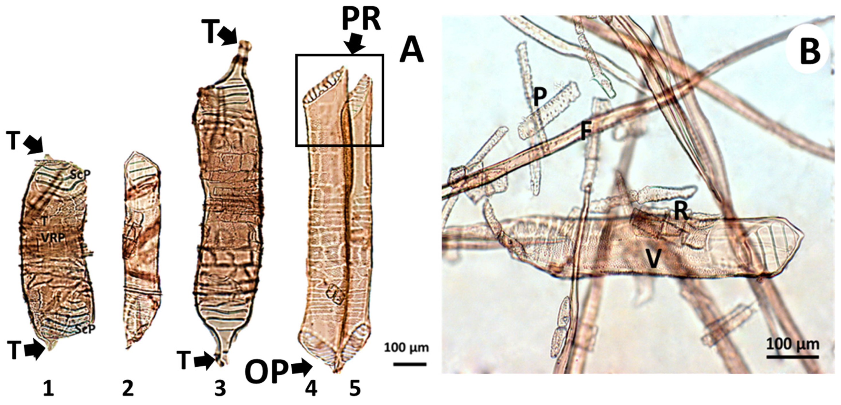 Forests 15 00509 g006 Forests 15 00509 g006