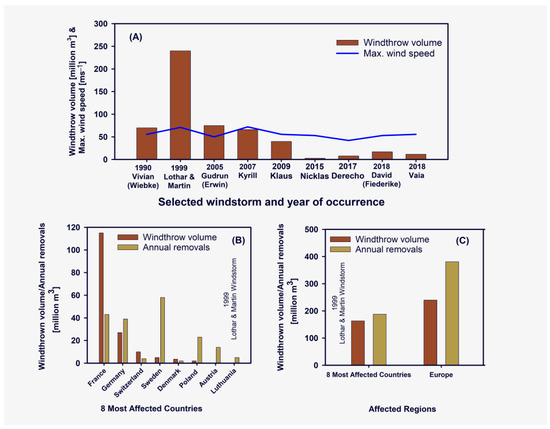 Unearthing Current Knowledge Gaps in Our Understanding of Tree 