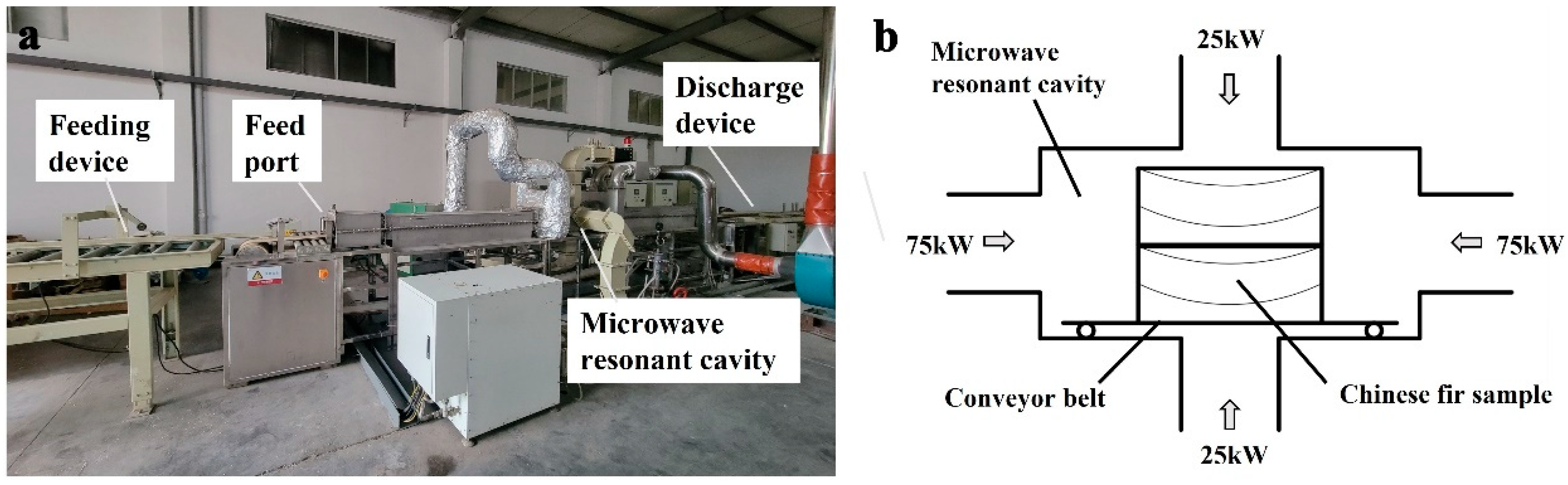 Forests 15 00516 g001