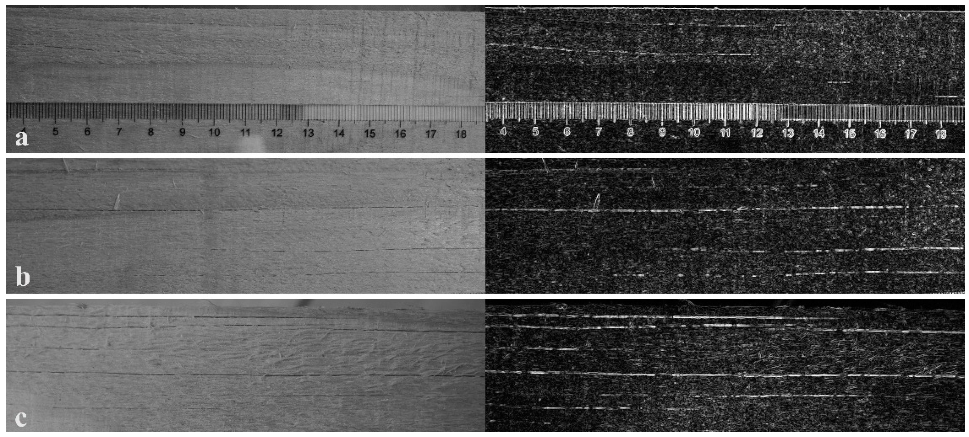 Forests 15 00516 g002
