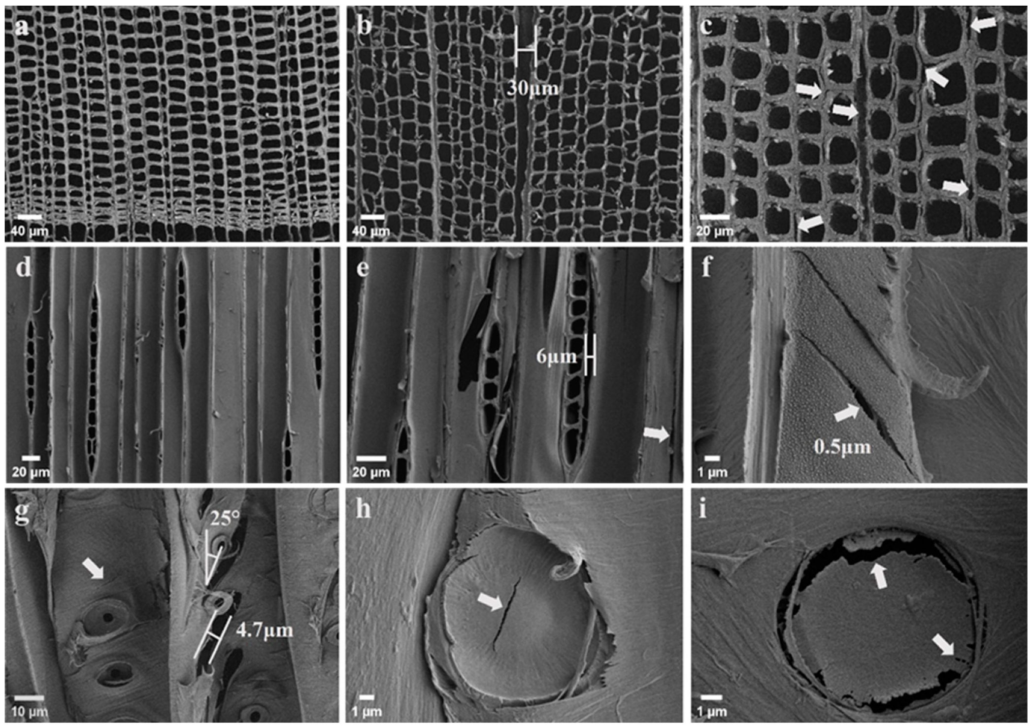 Forests 15 00516 g005