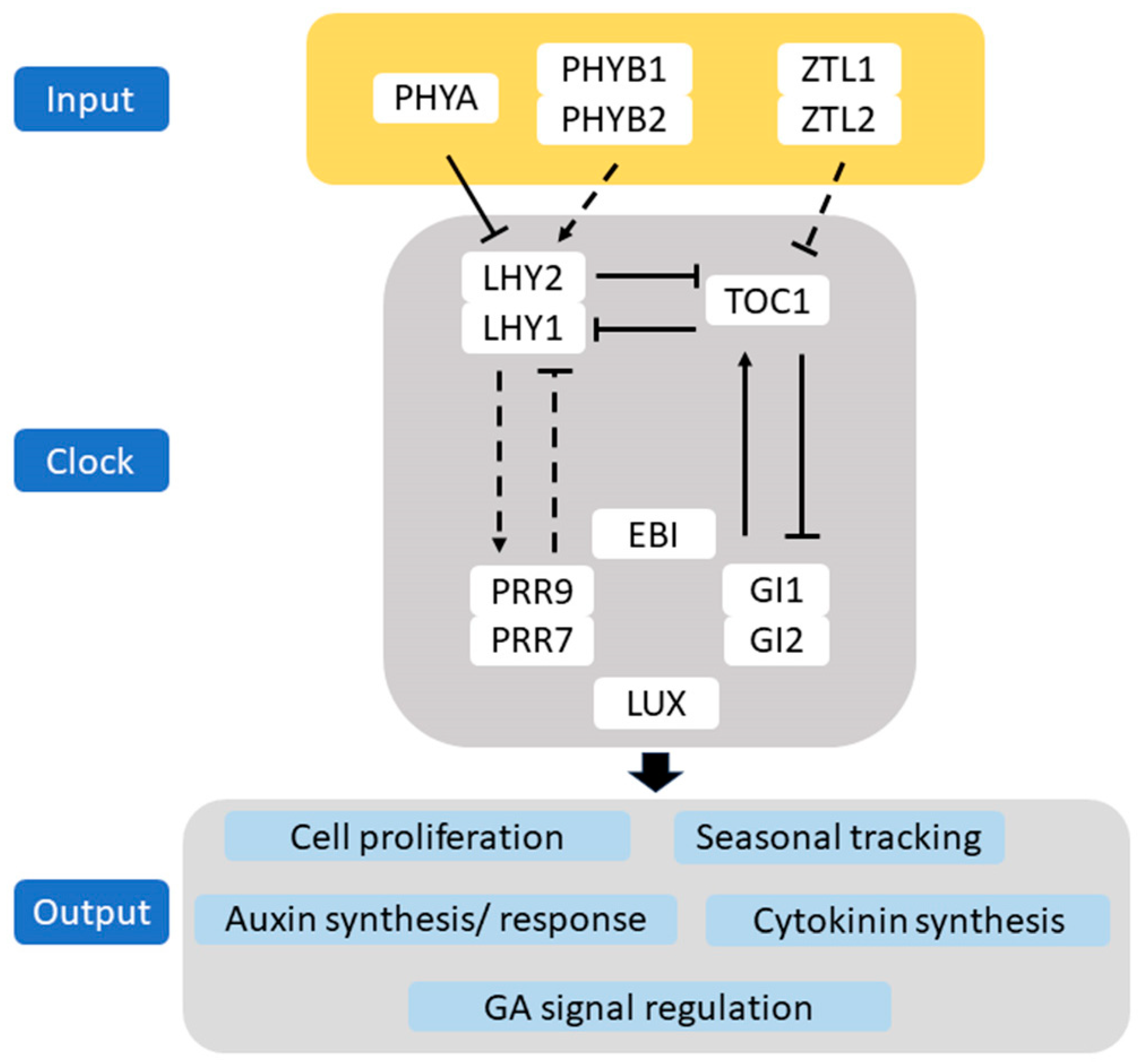 Forests 15 00523 g002 Forests 15 00523 g002