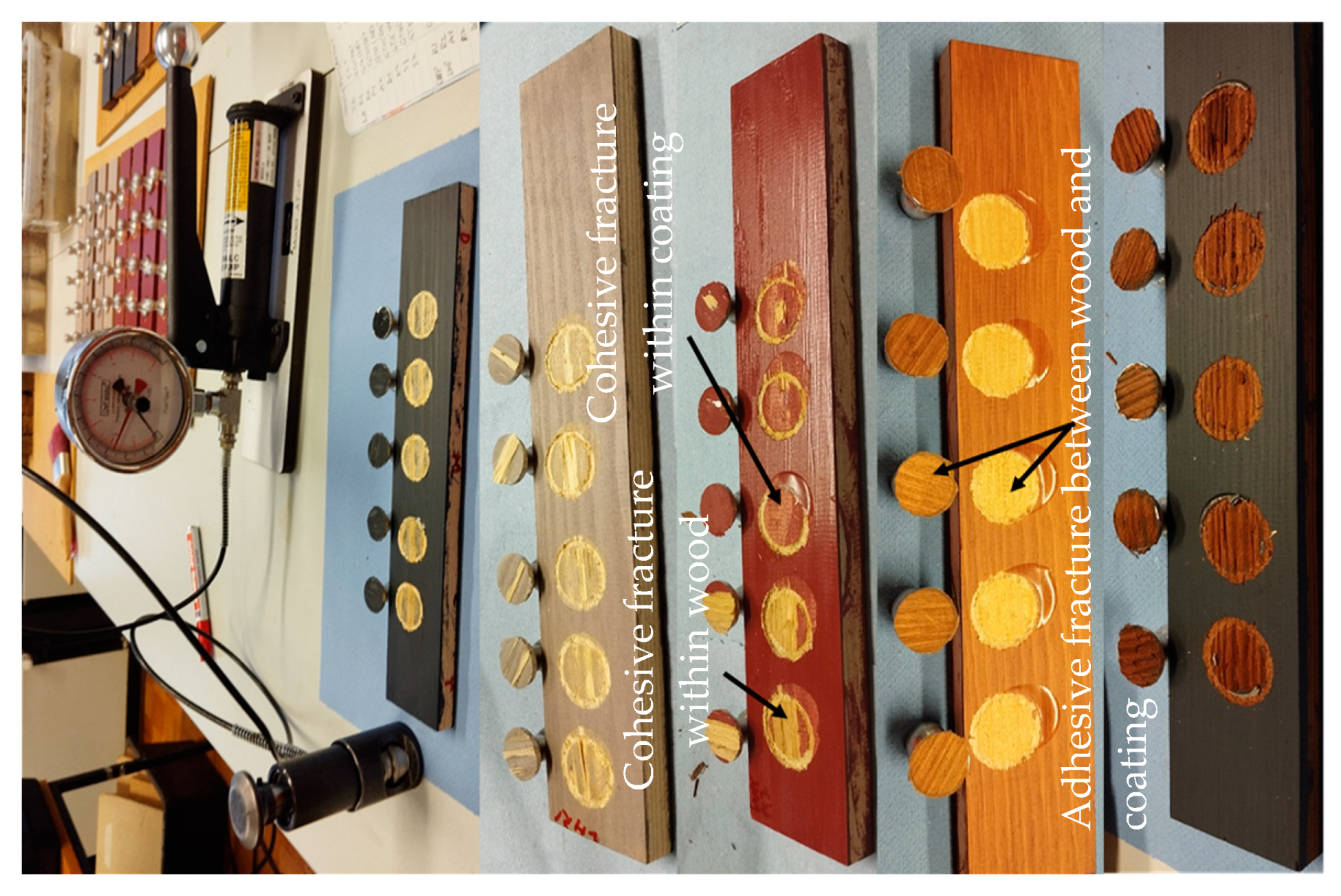 Forests 15 00526 g0a5