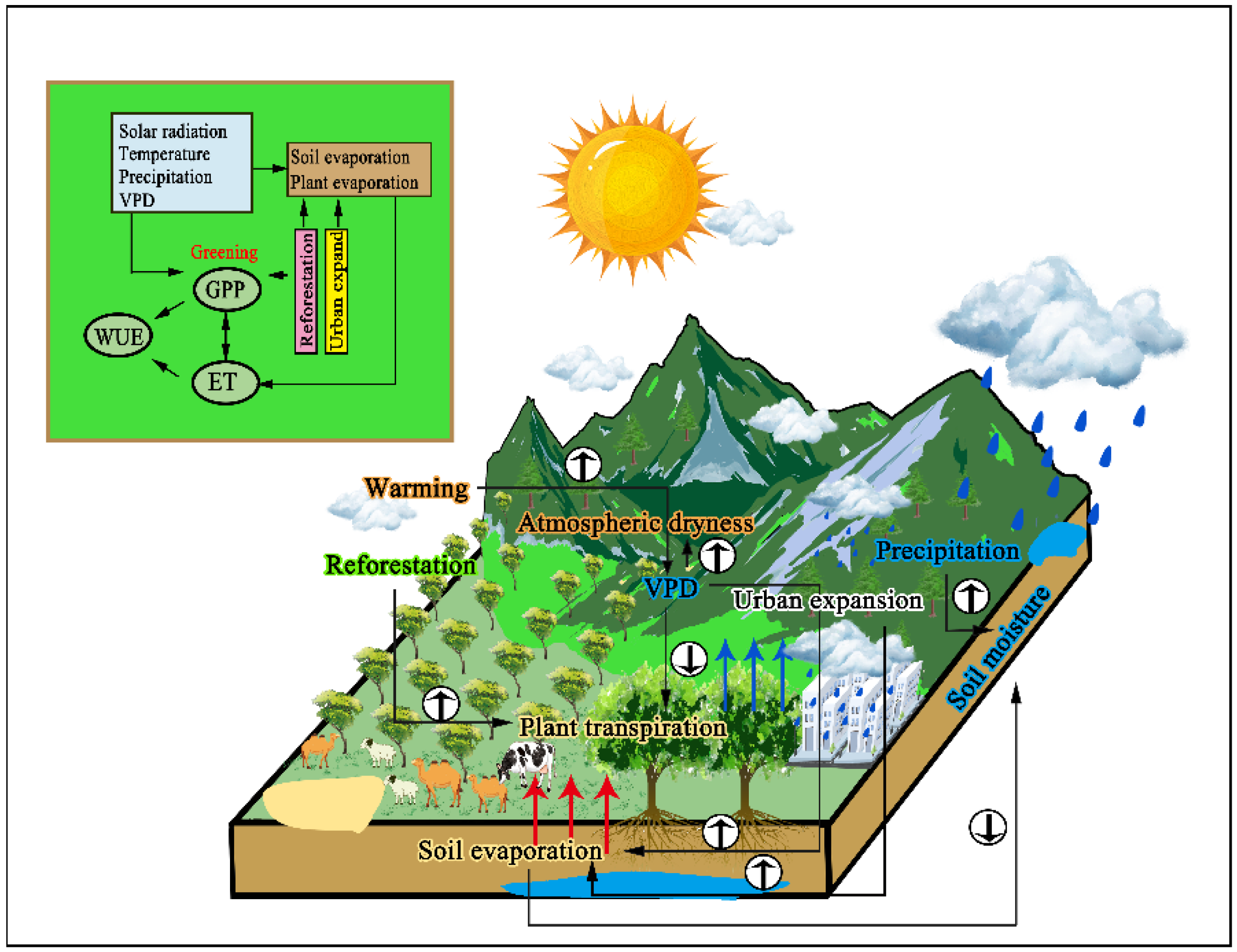 Forests 15 00528 g009