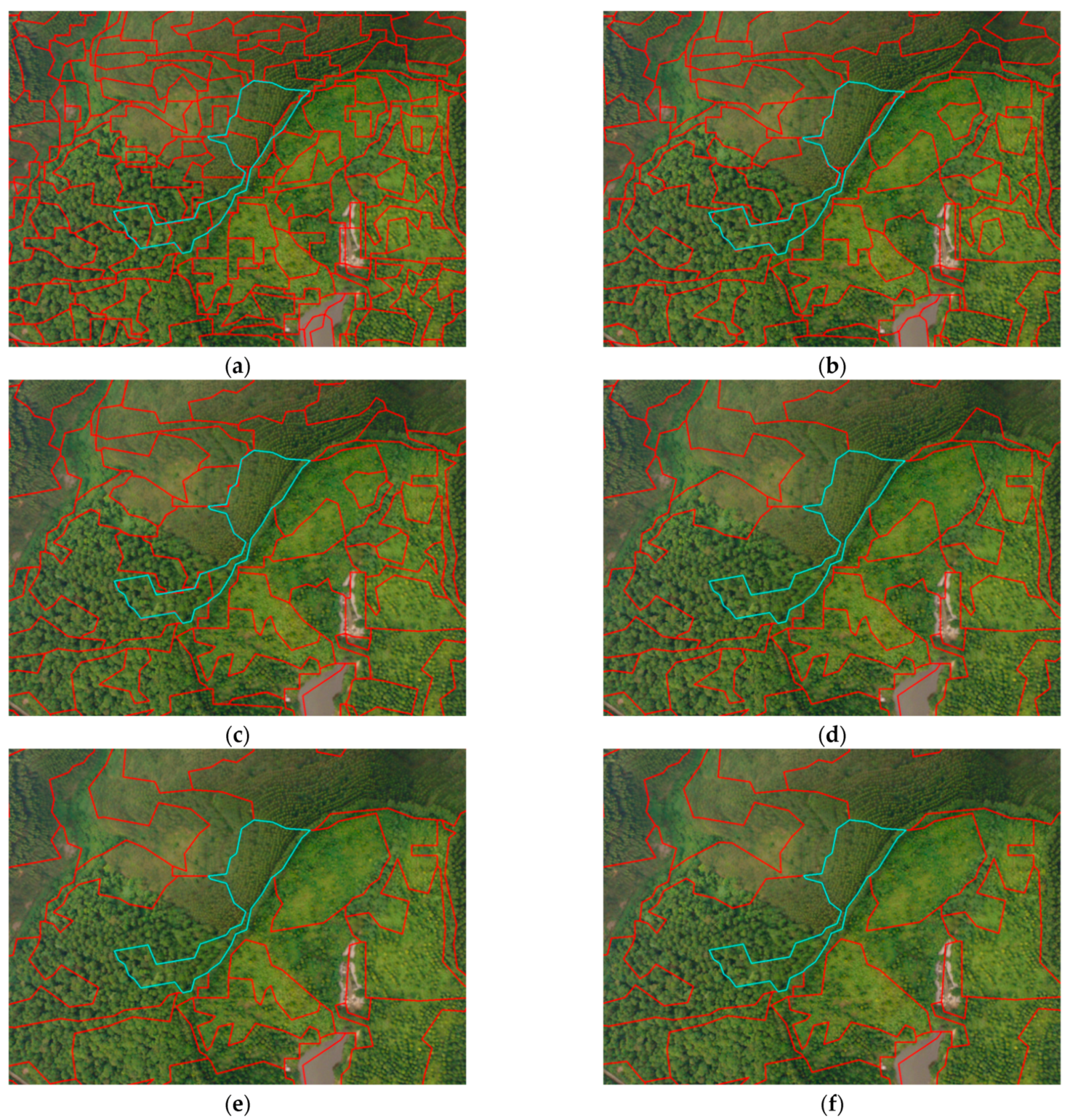 Forests 15 00529 g008