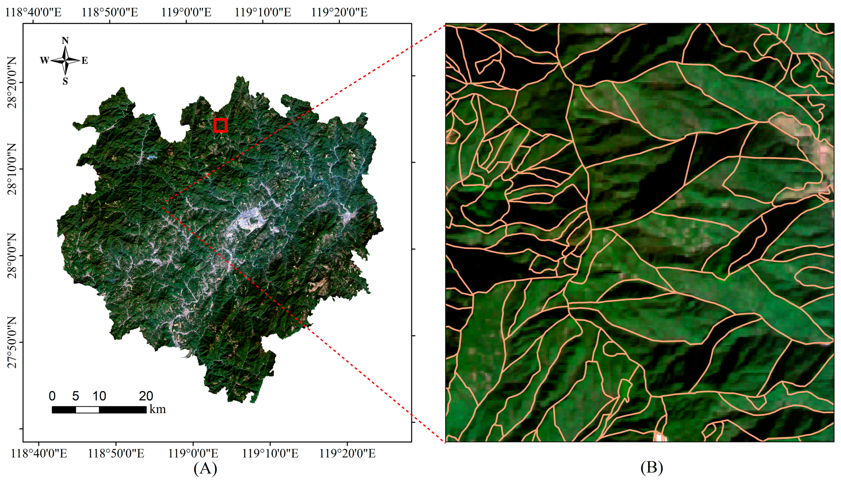 Forests 15 00533 g004