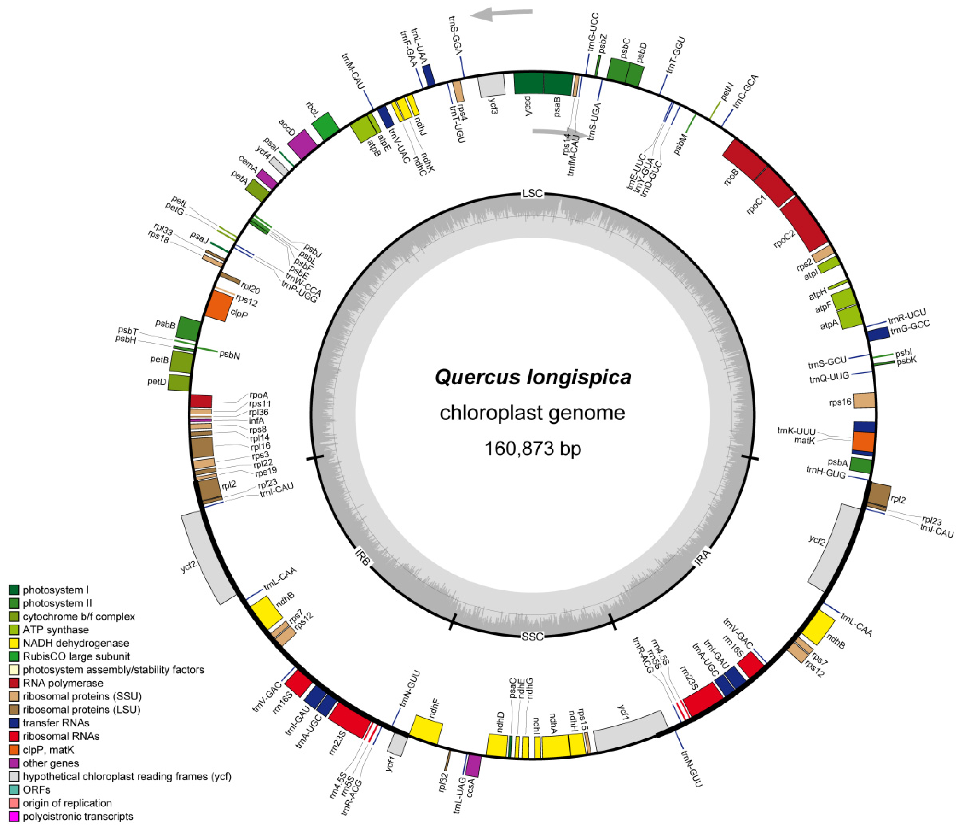 Forests 15 00537 g002 Forests 15 00537 g002