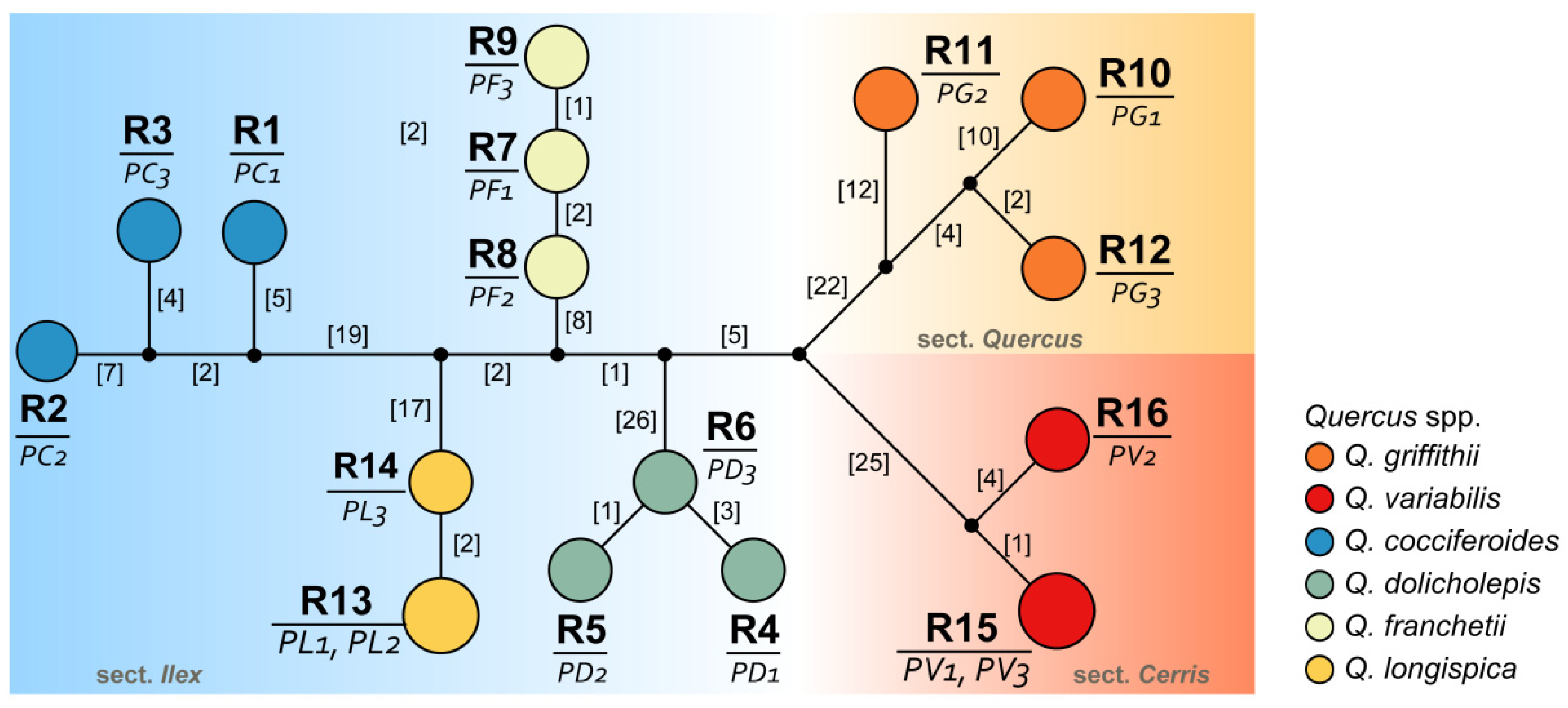 Forests 15 00537 g004 Forests 15 00537 g004