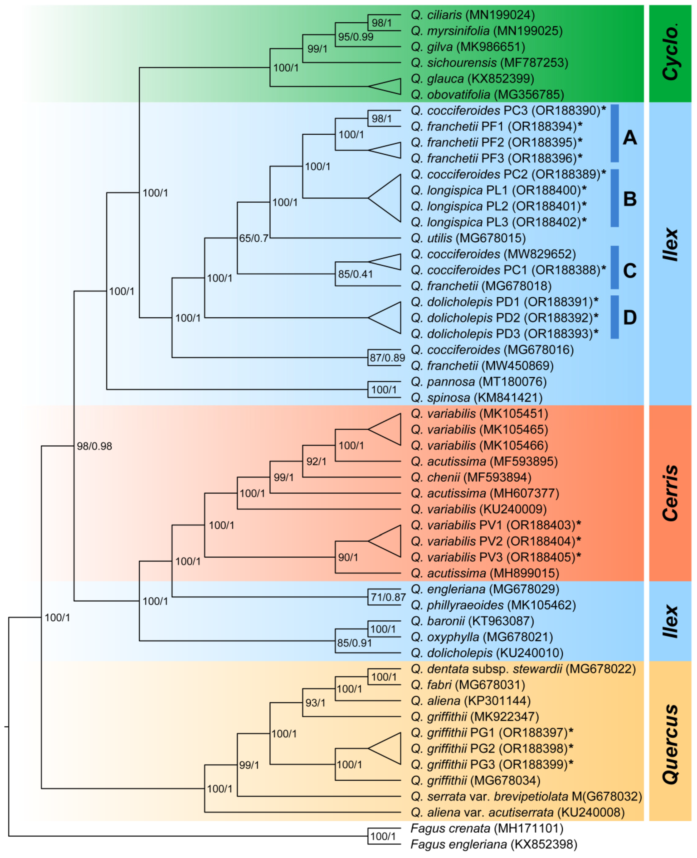 Forests 15 00537 g005 Forests 15 00537 g005